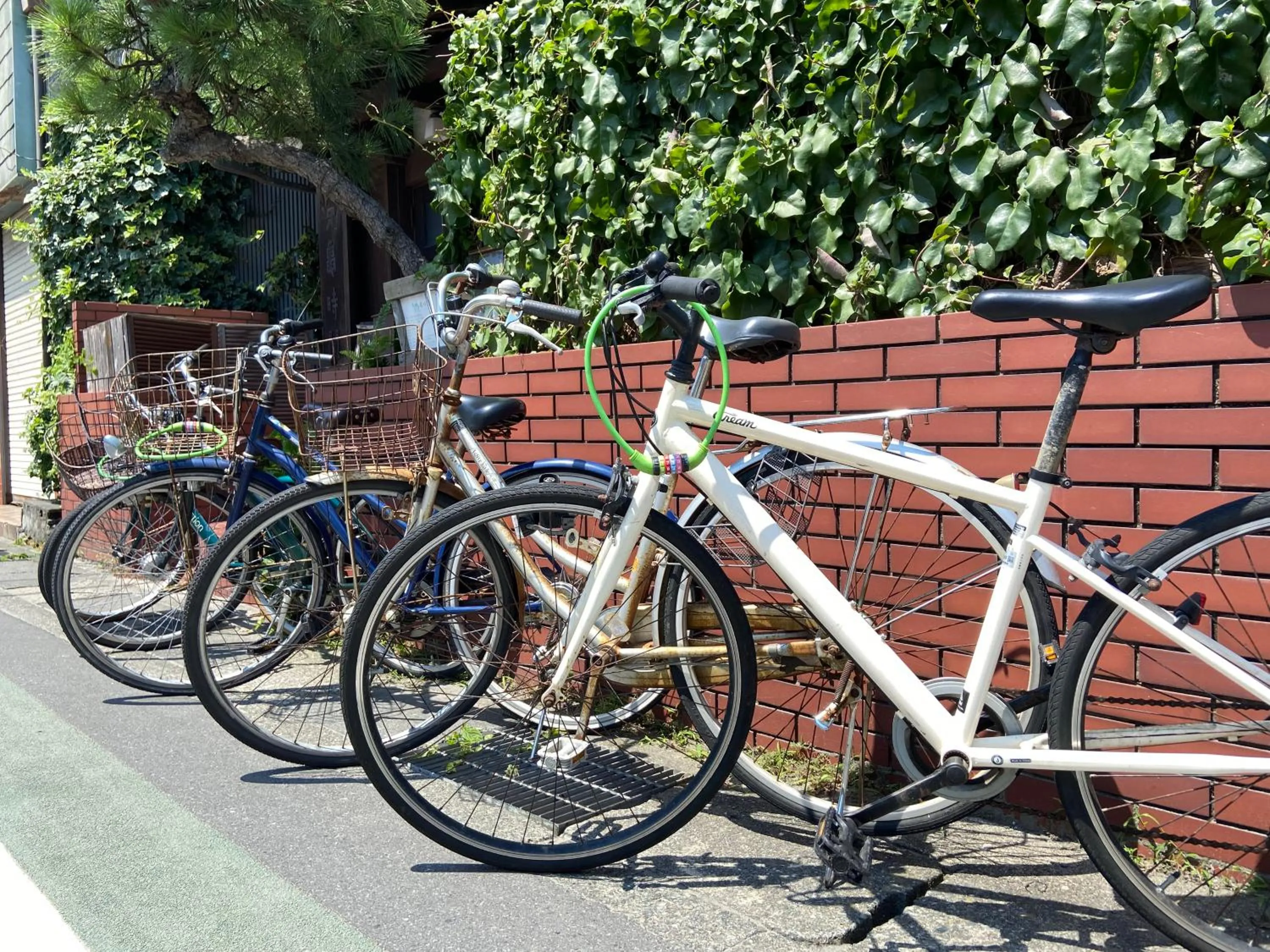 Cycling in Guest House Kamejikan -turtle time-