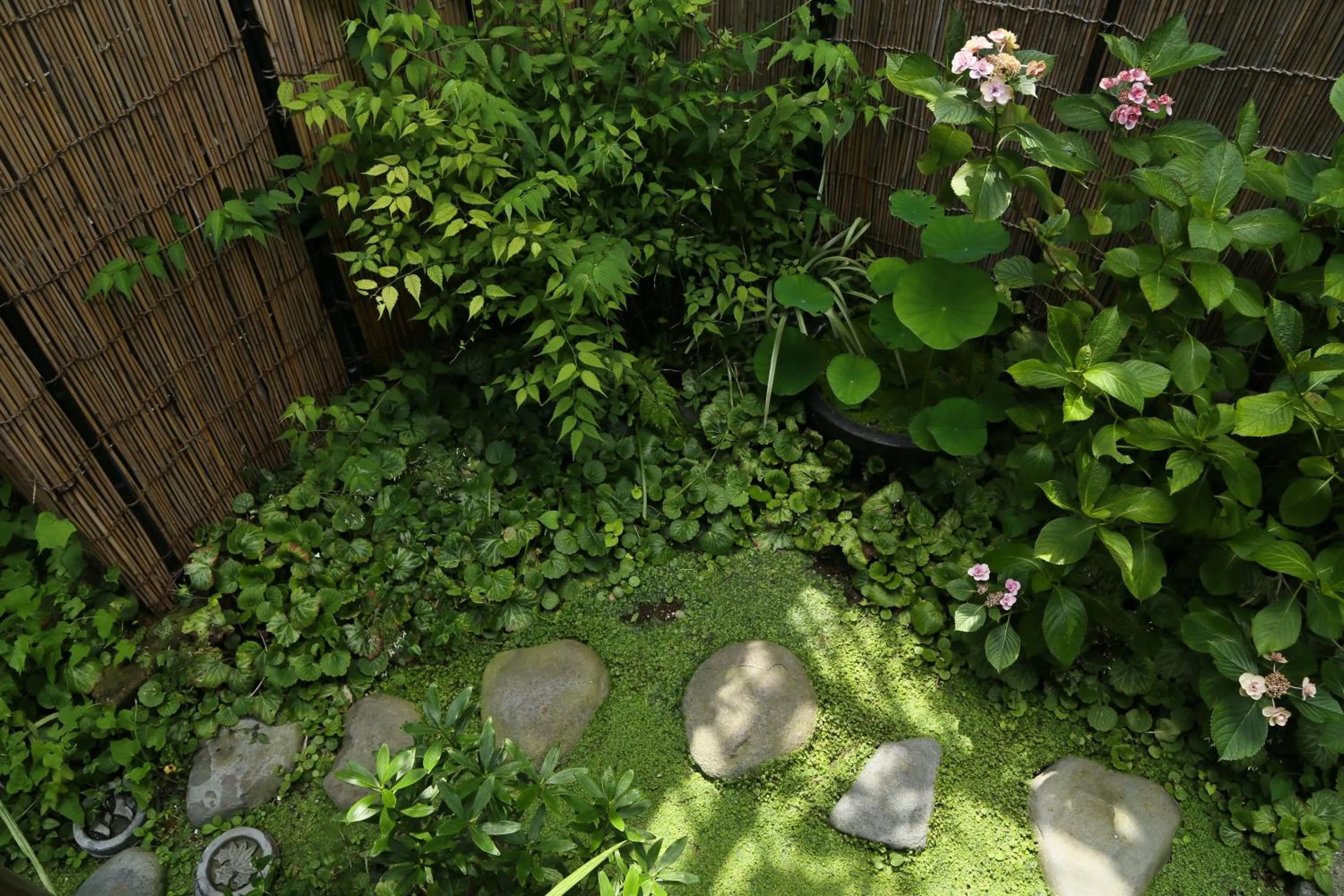 Garden in Guest House Kamejikan -turtle time-