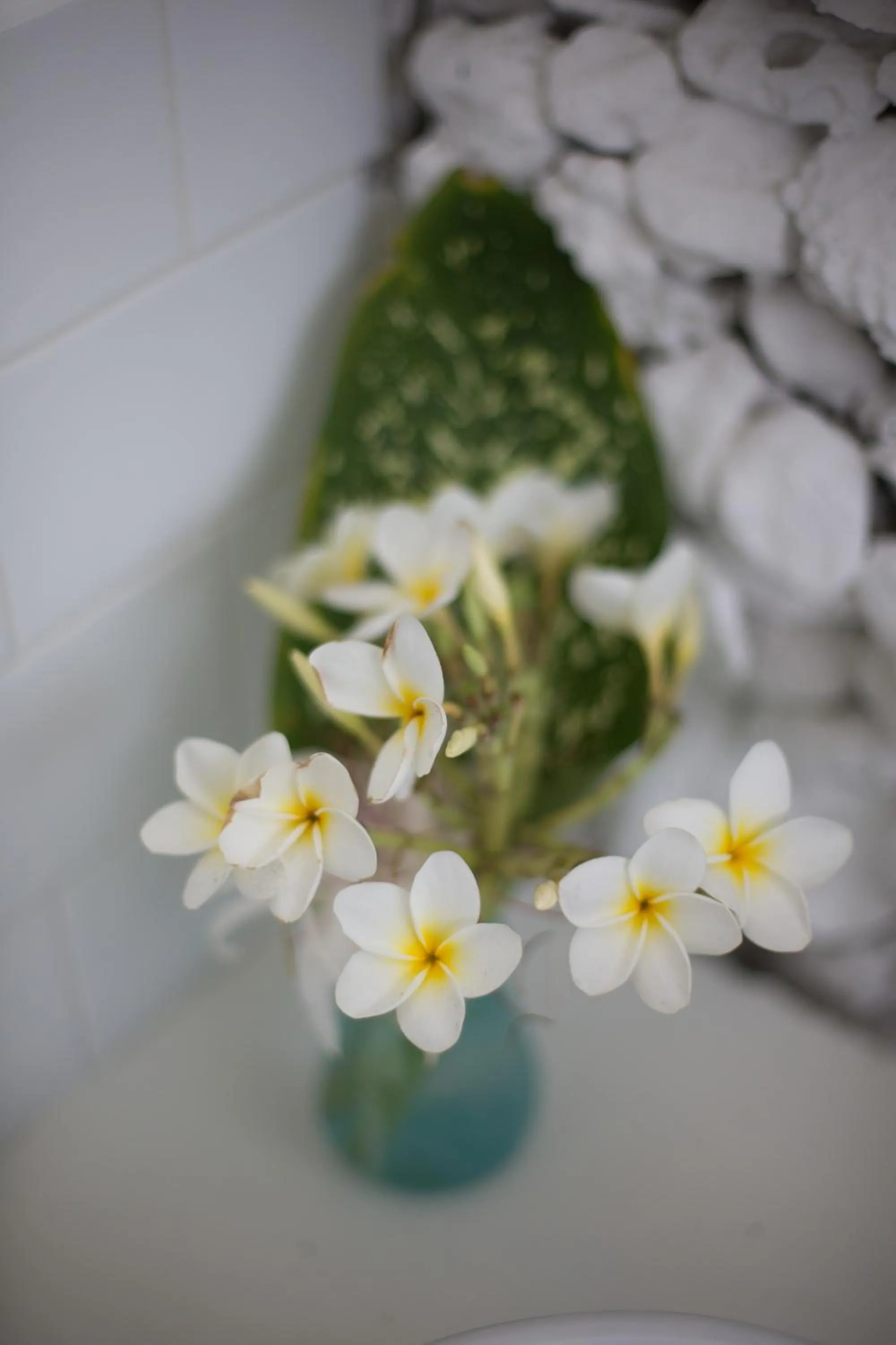 Decorative detail in Tamanu on the Beach
