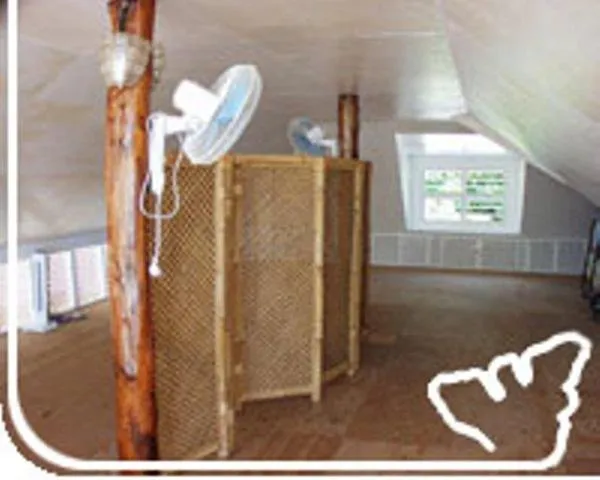 Decorative detail in Pension Motu Iti