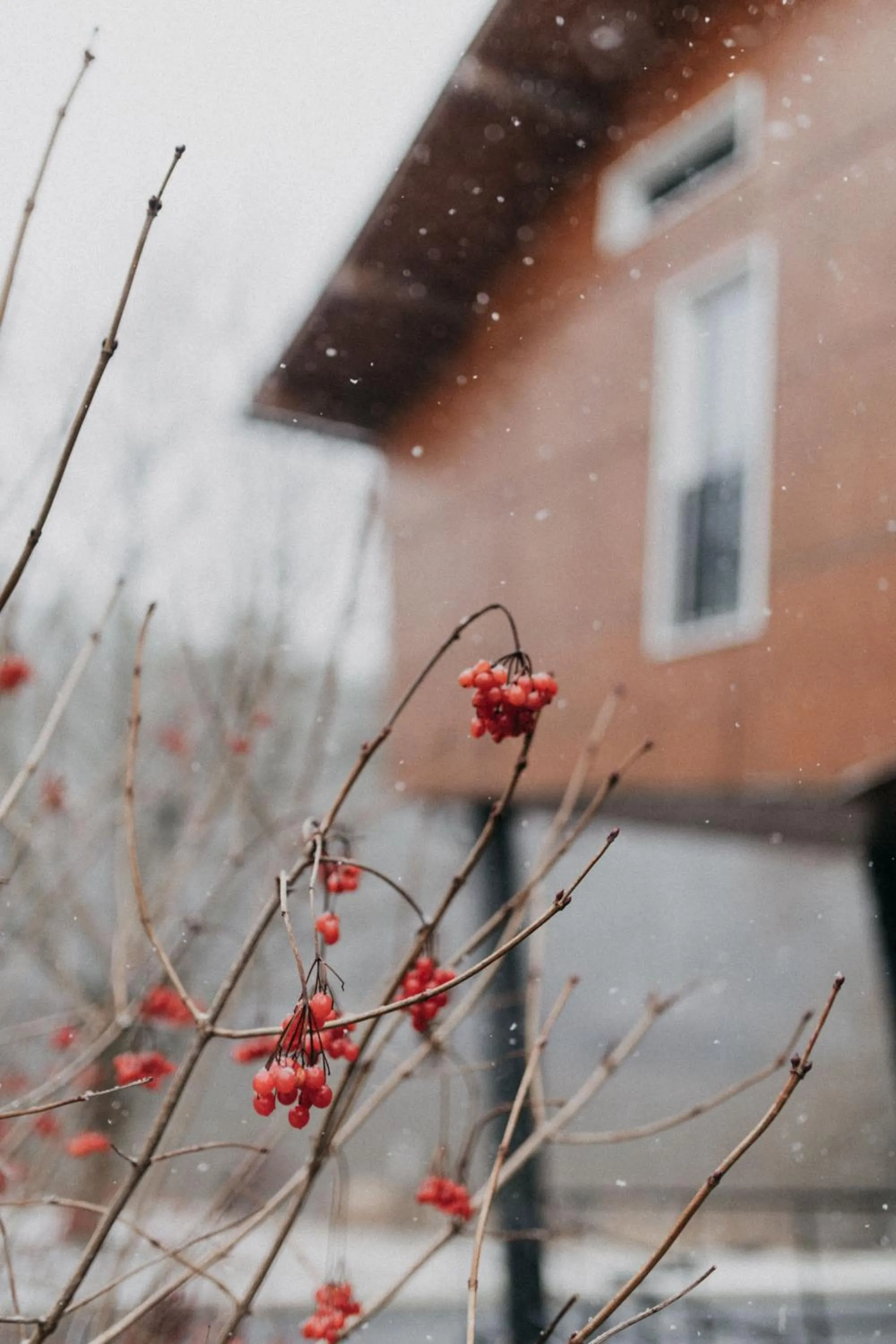 Property building in Hotel Split