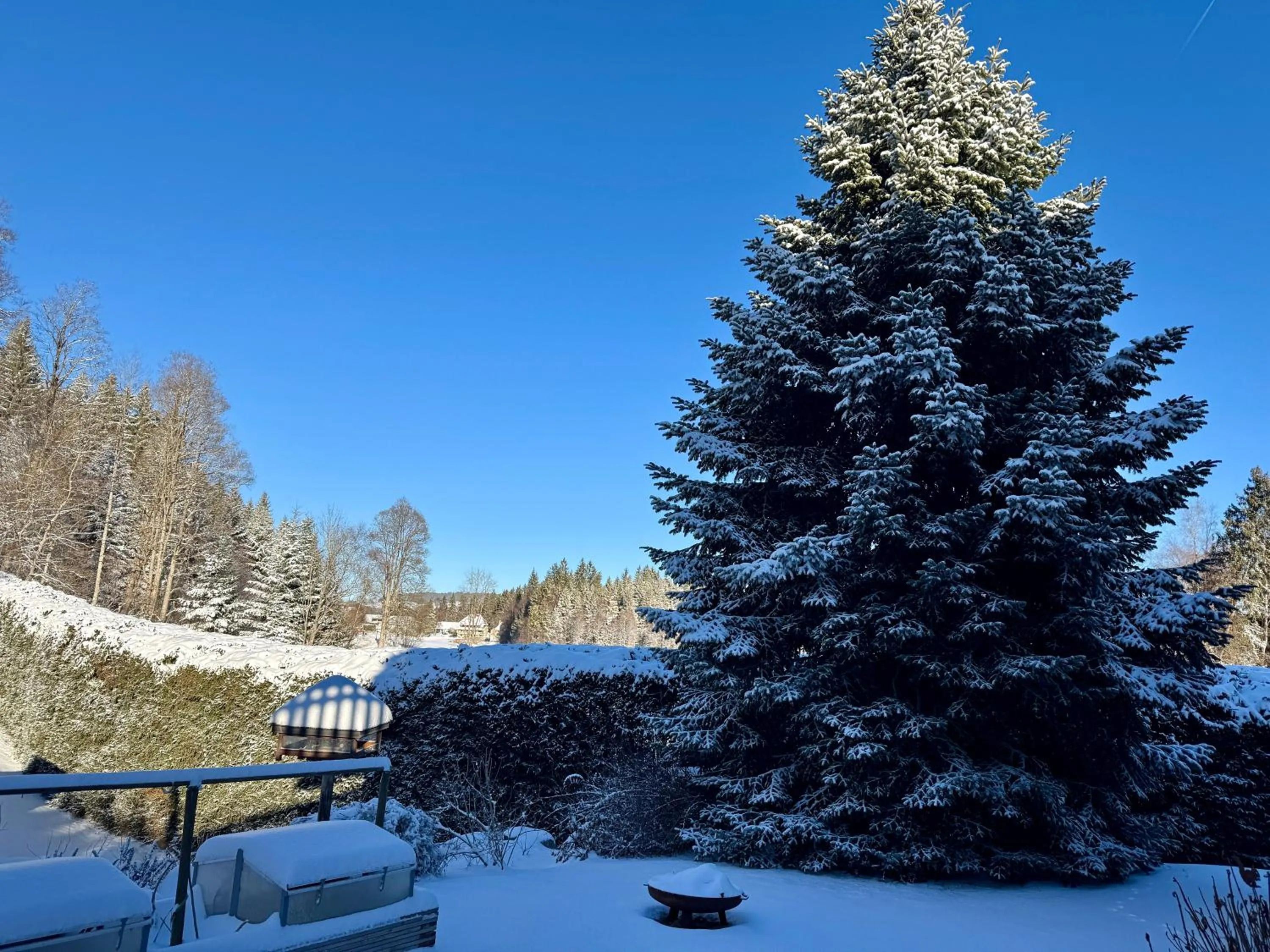 View (from property/room) in Hollhouse - Bed & Breakfast