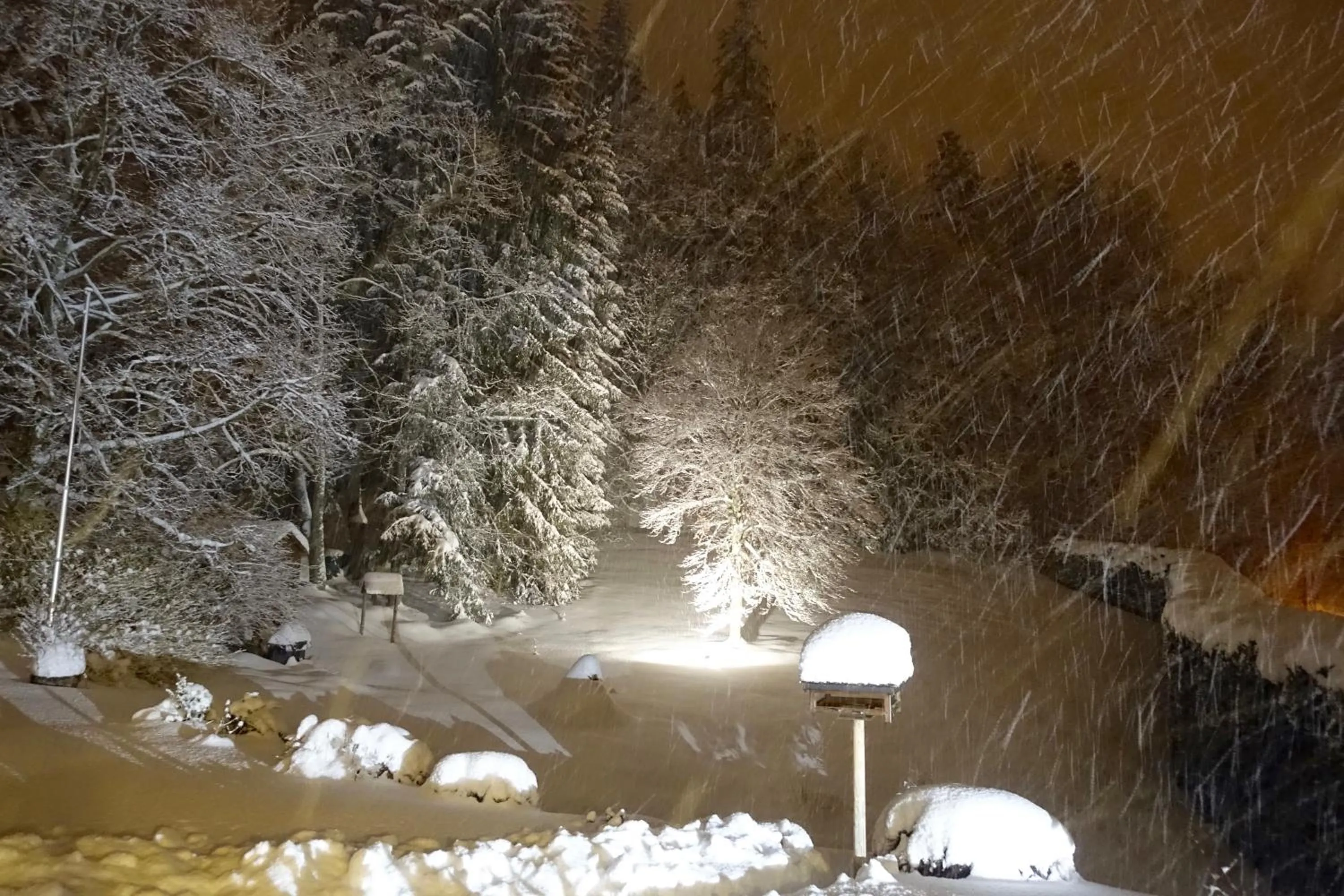 Garden in Hollhouse - Bed & Breakfast