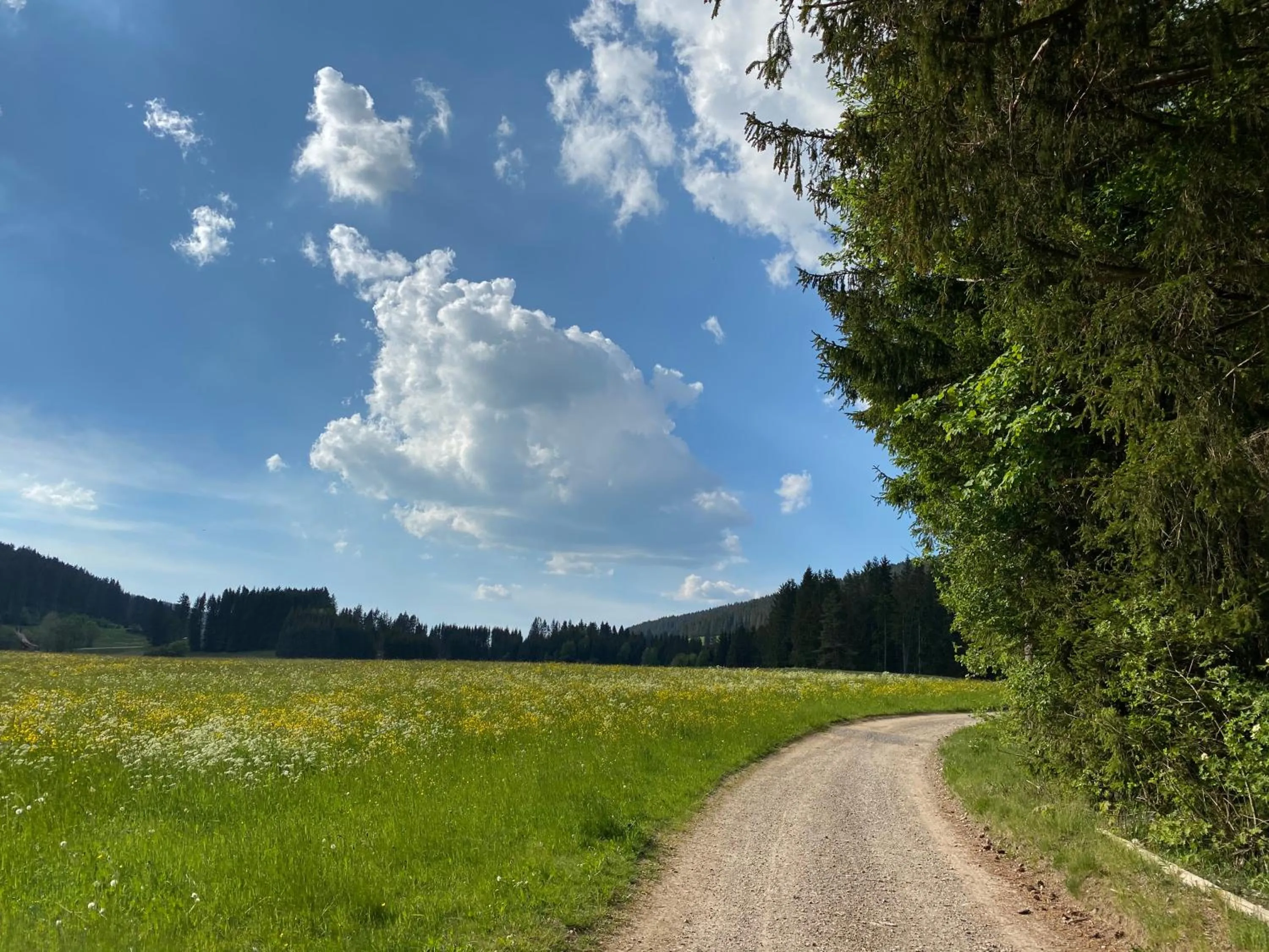 Natural landscape in Hollhouse - Bed & Breakfast