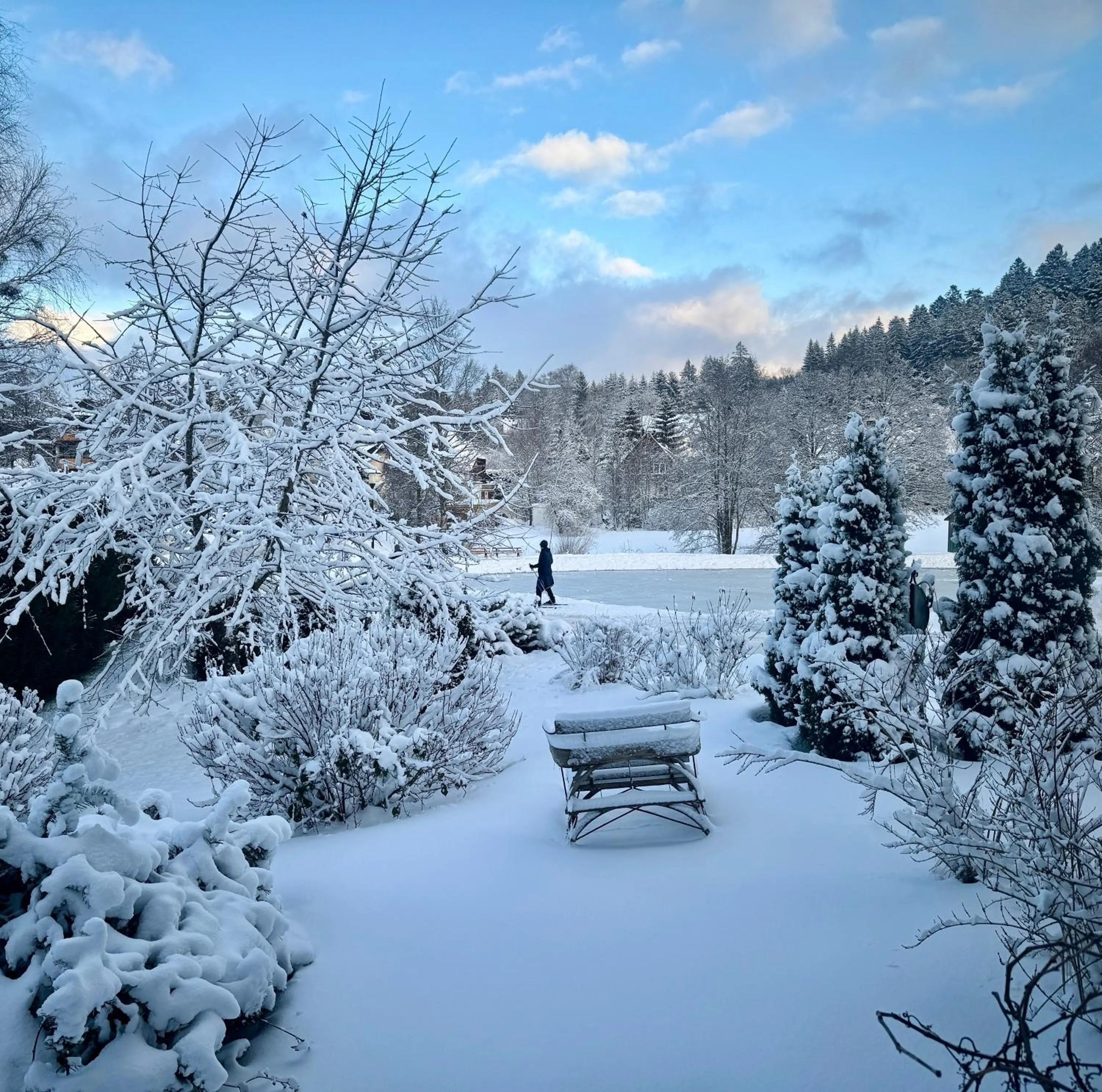 View (from property/room) in Hollhouse - Bed & Breakfast