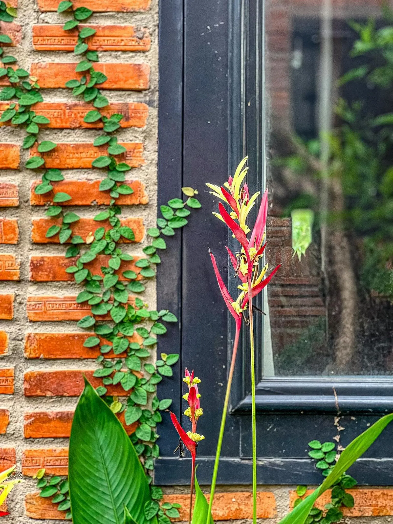 Long Hải Channel Beach Resort