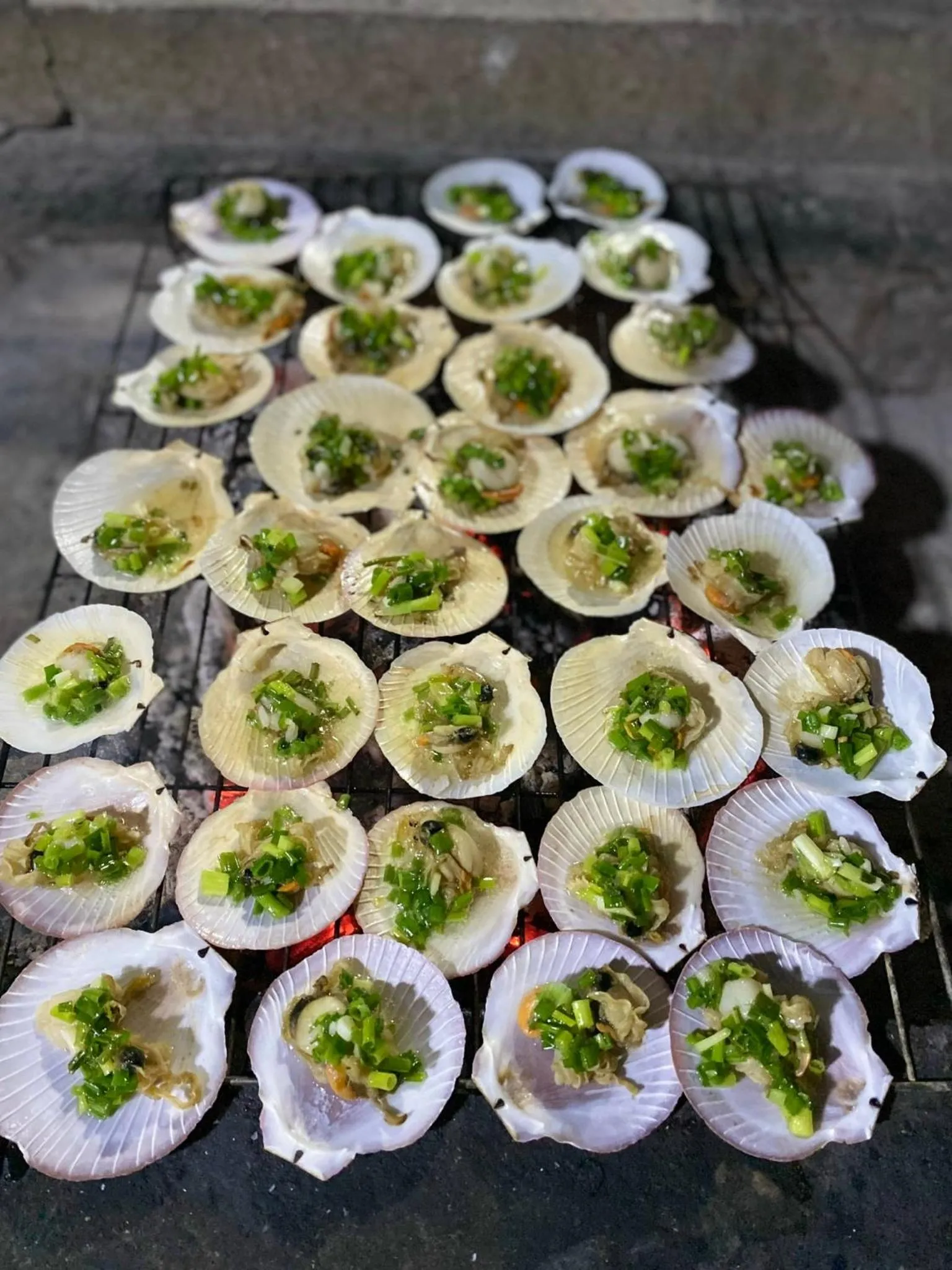 Long Hải Channel Beach Resort