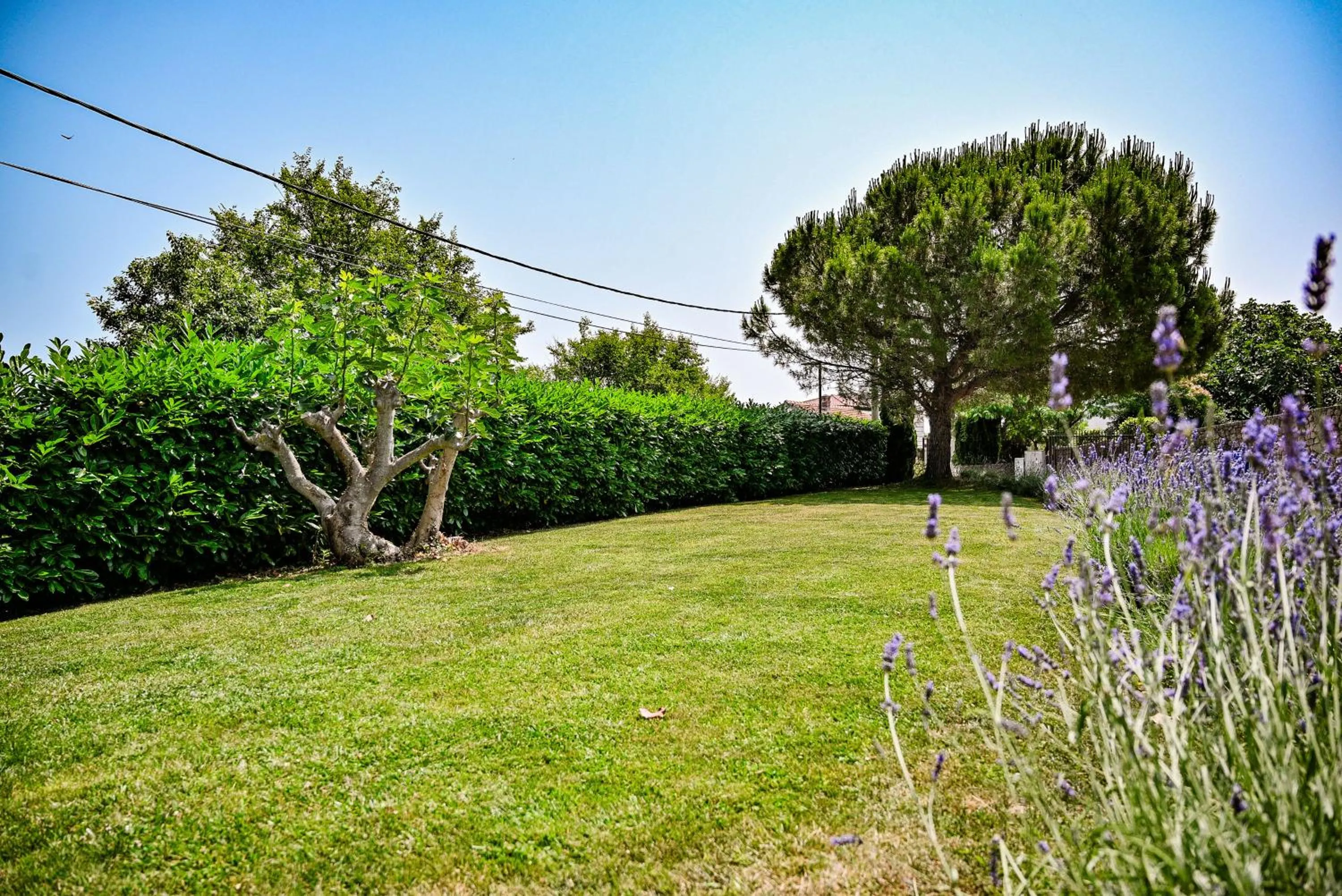 Villa Mirela