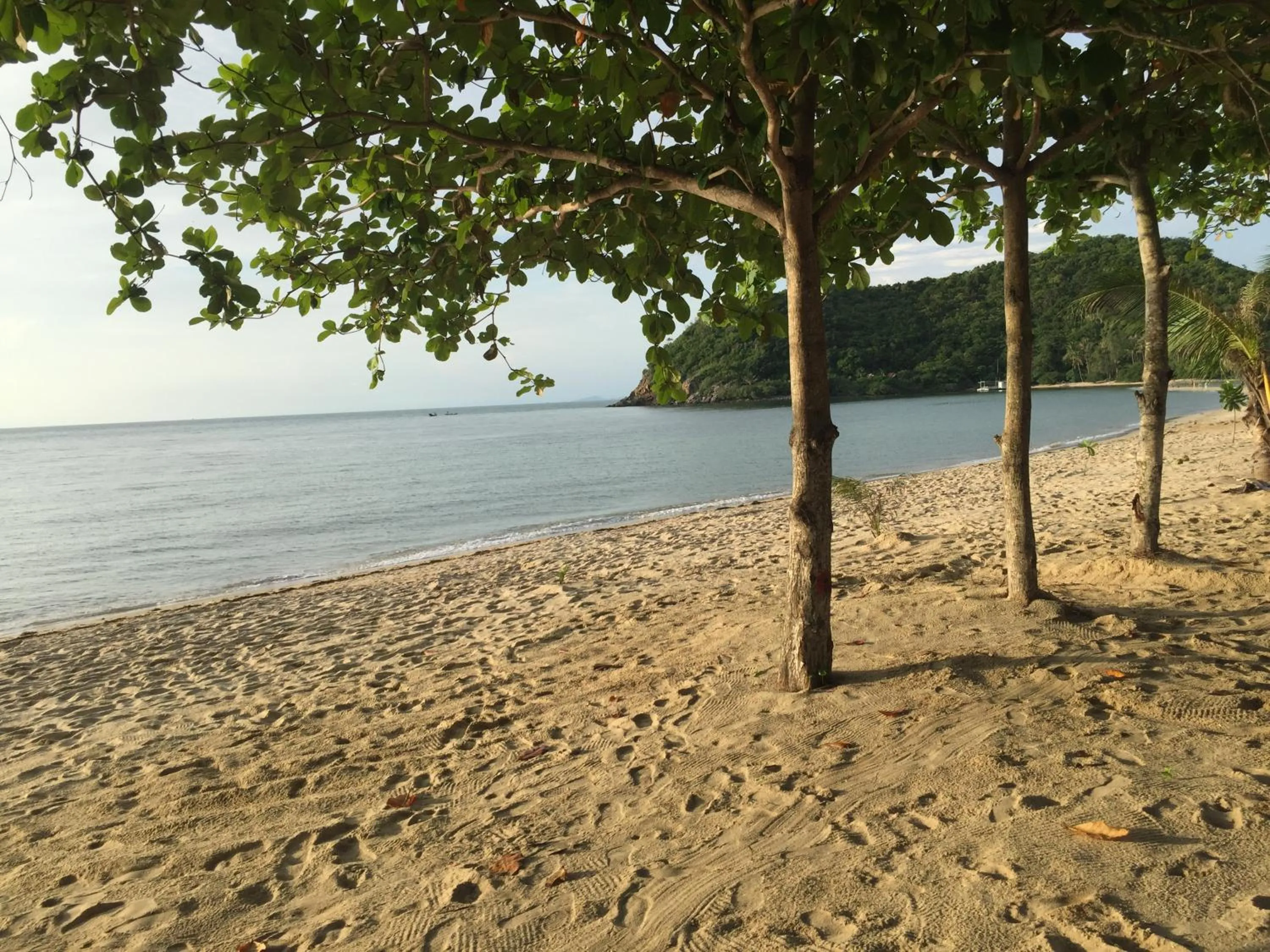 Beach in Koh Ma Beach Resort - SHA Extra Plus