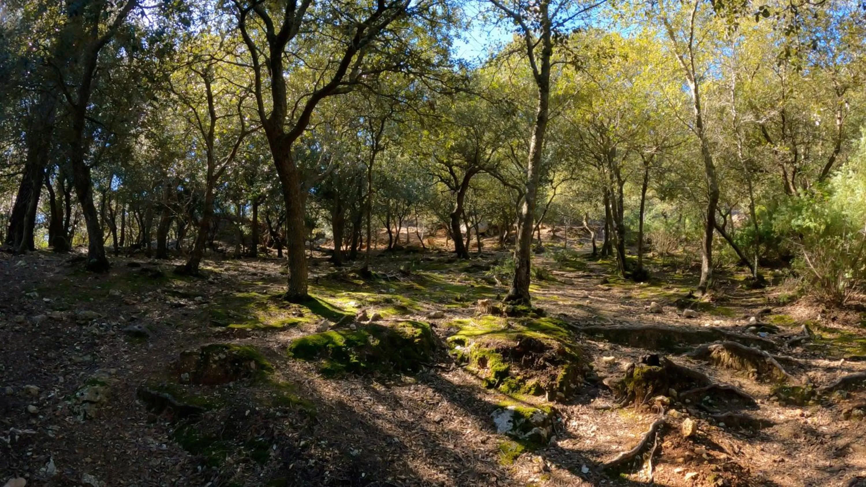 Natural landscape in El Nido de Alaro - Turismo de Interior