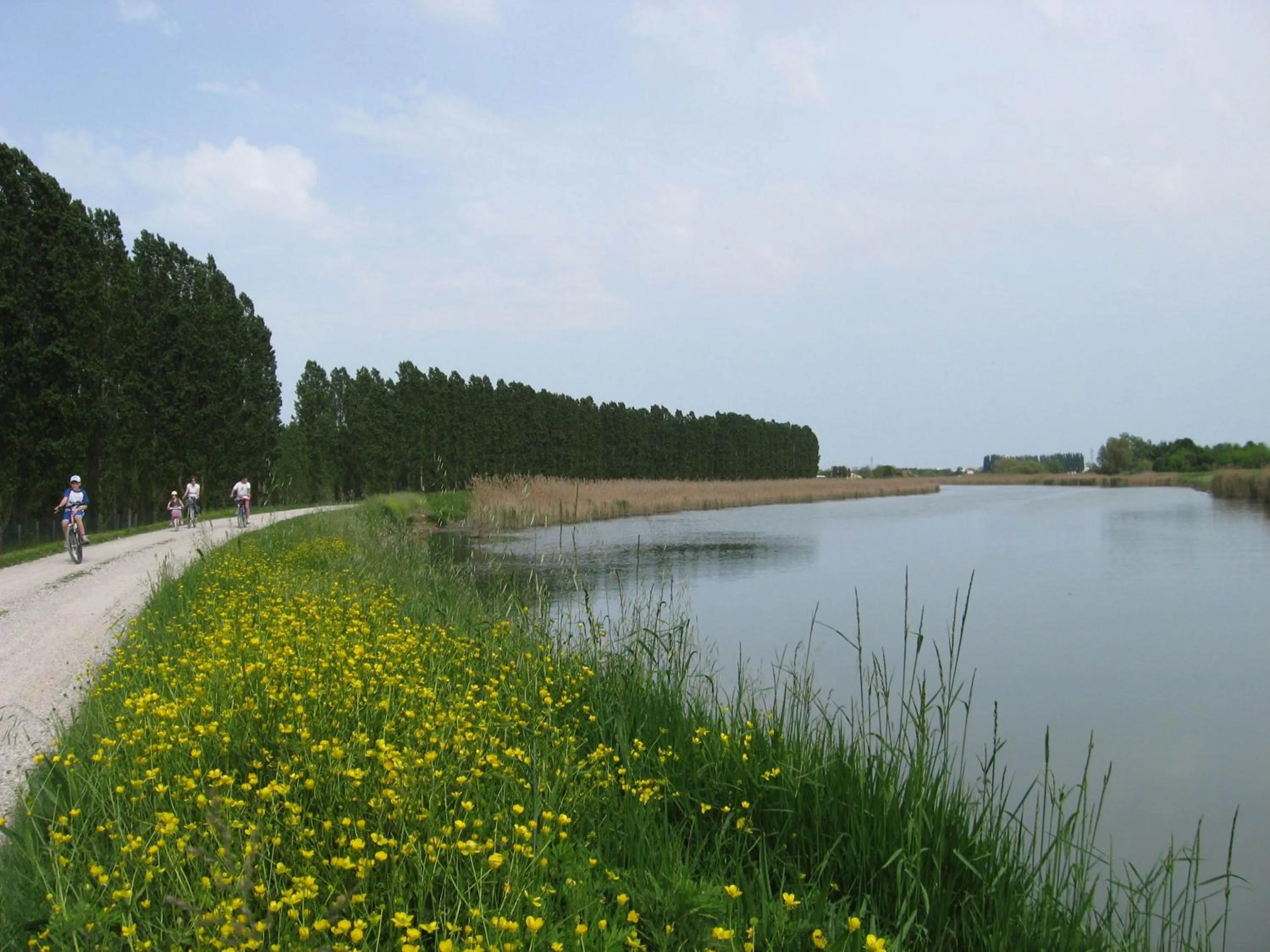 Cycling in B&B Garnì Da Vito