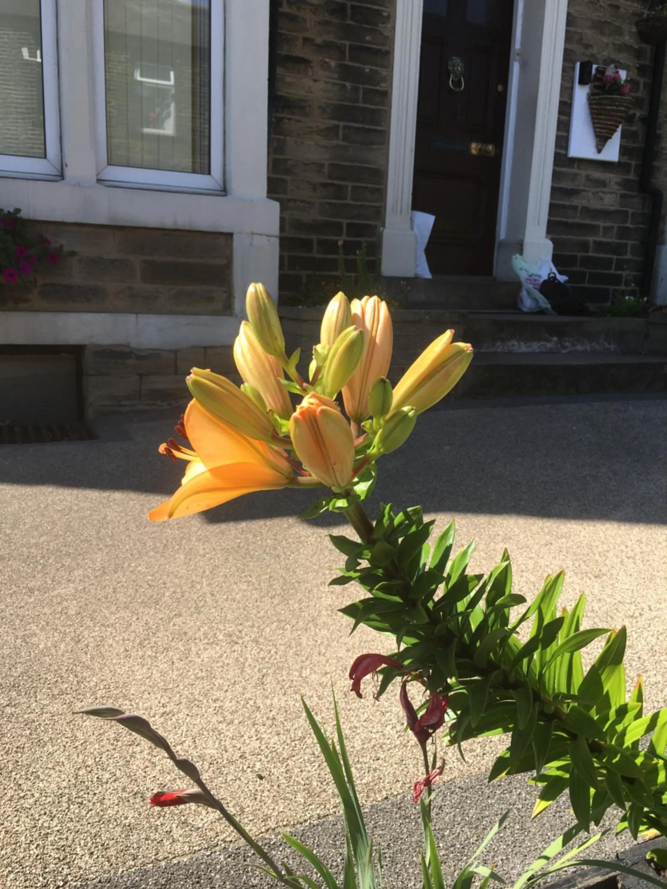 Highfield Guesthouse