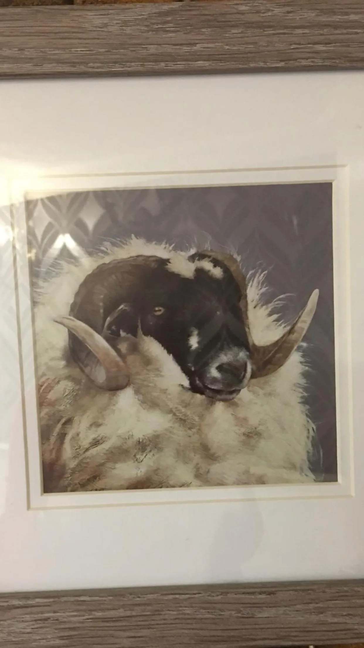 Highfield Guesthouse