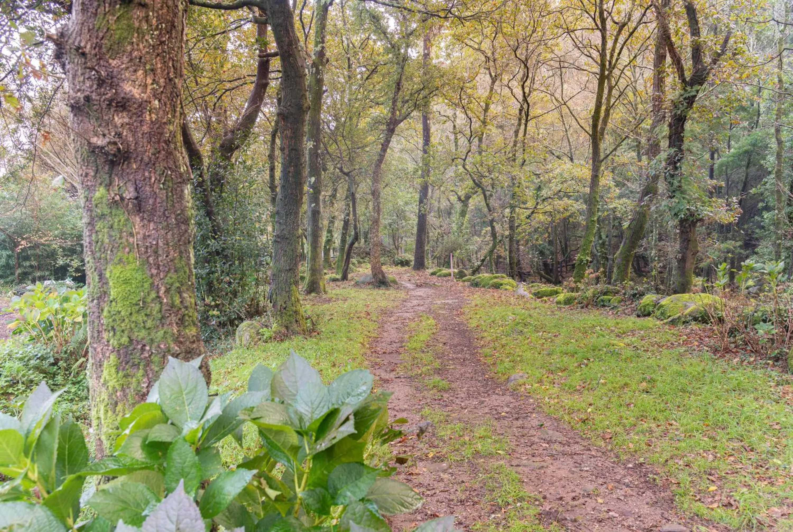 Natural landscape in Entre Os Ríos - Casa Rural y Enoturismo