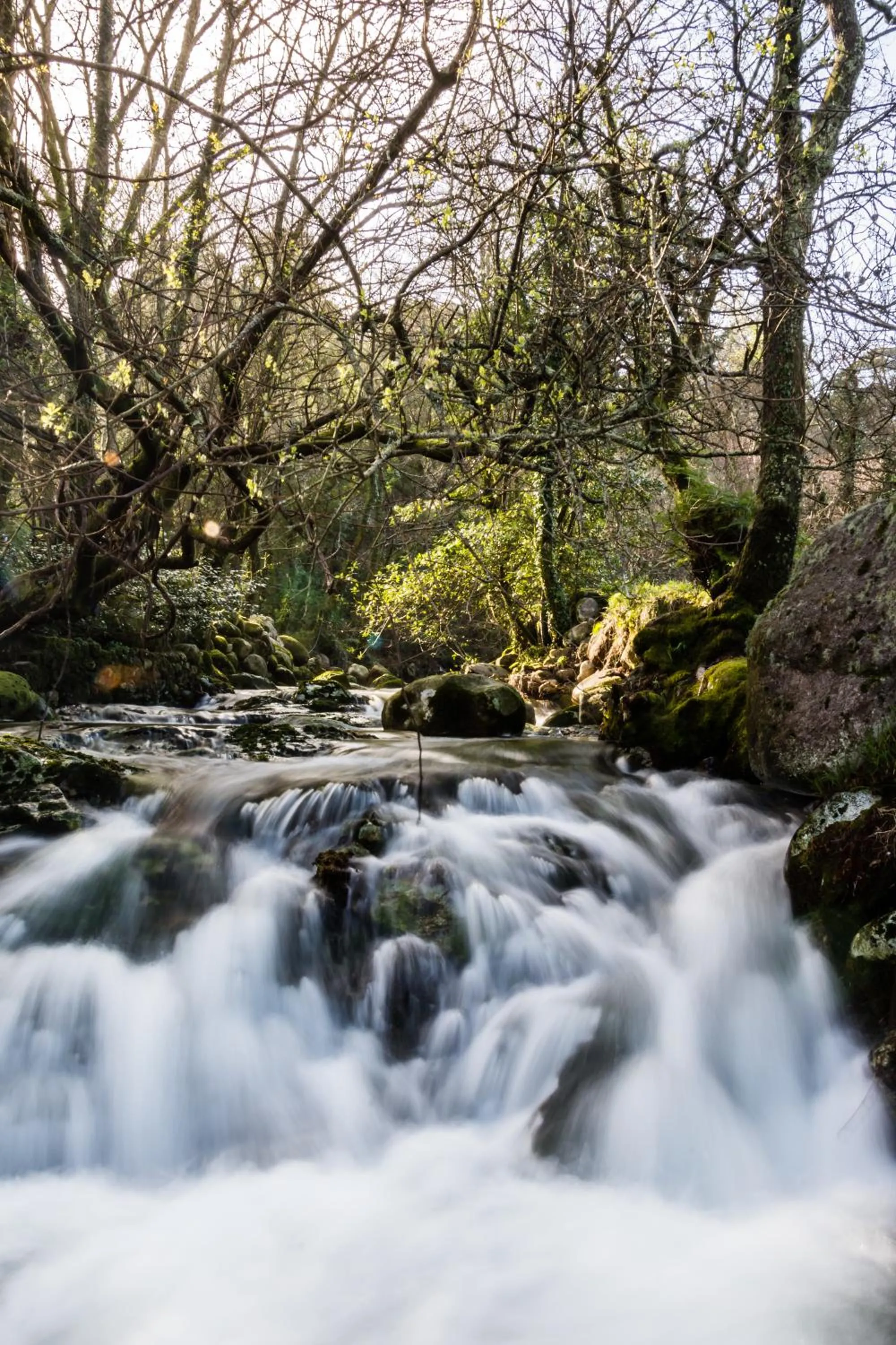 Area and facilities in Entre Os Ríos - Casa Rural y Enoturismo
