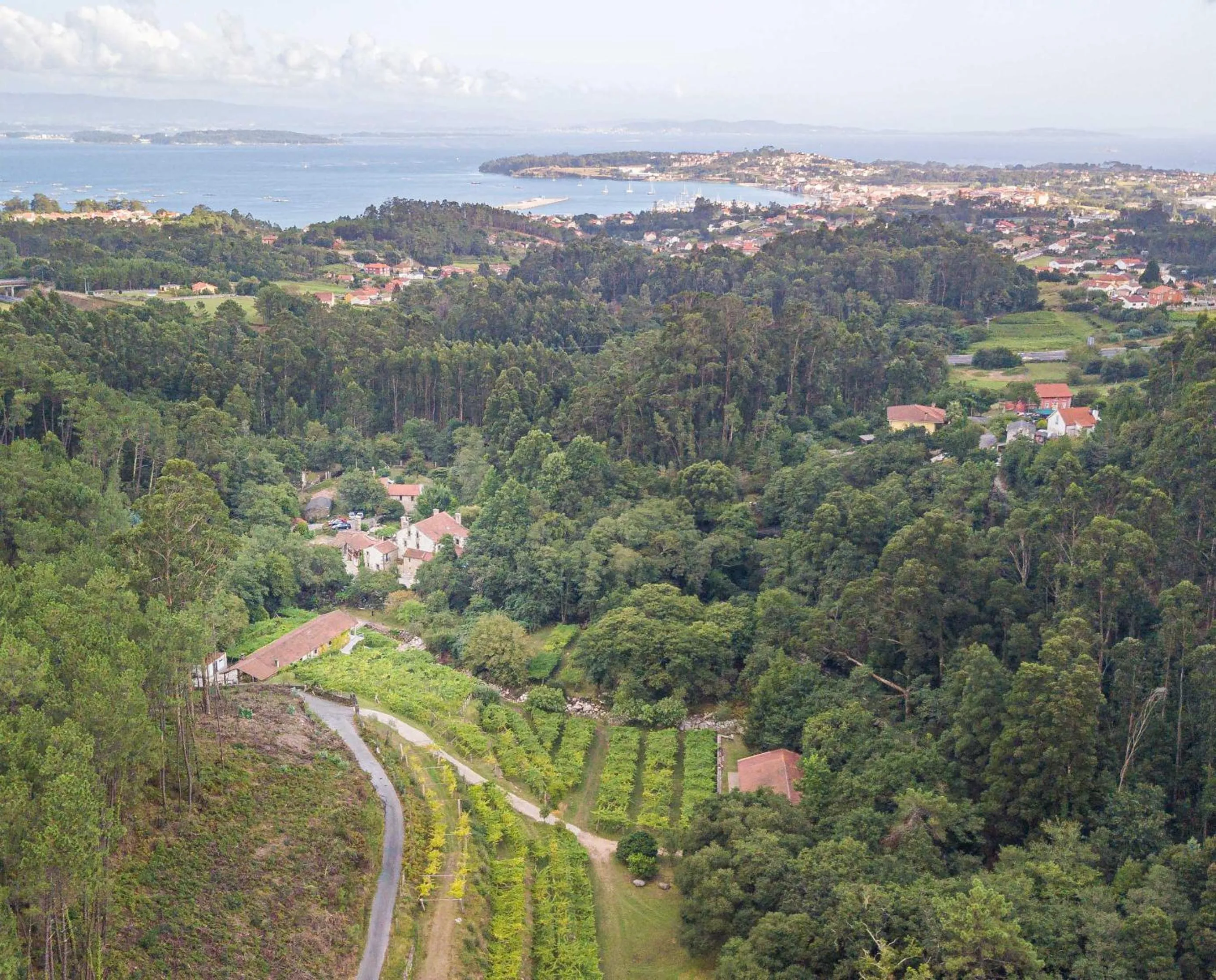 Bird's eye view in Entre Os Ríos - Casa Rural y Enoturismo