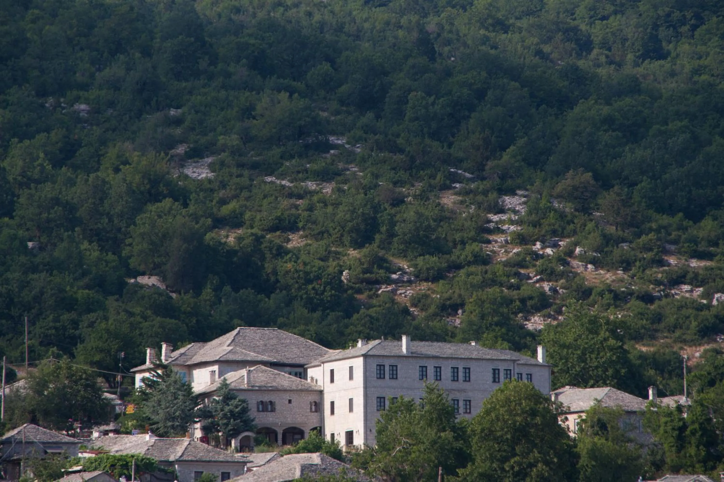 Property building in Hotel Monodendri