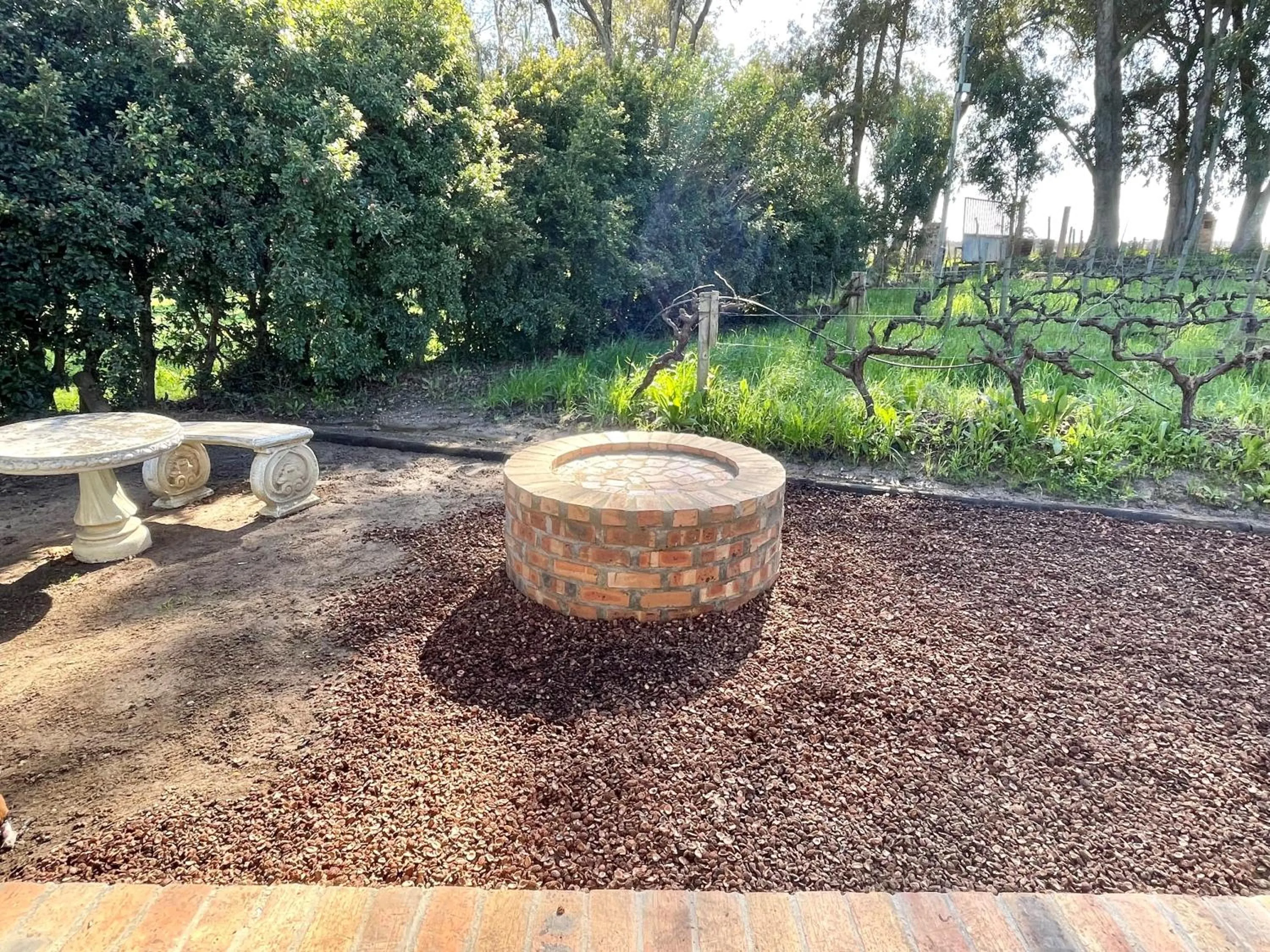 View (from property/room) in Groenvlei Guest Farm