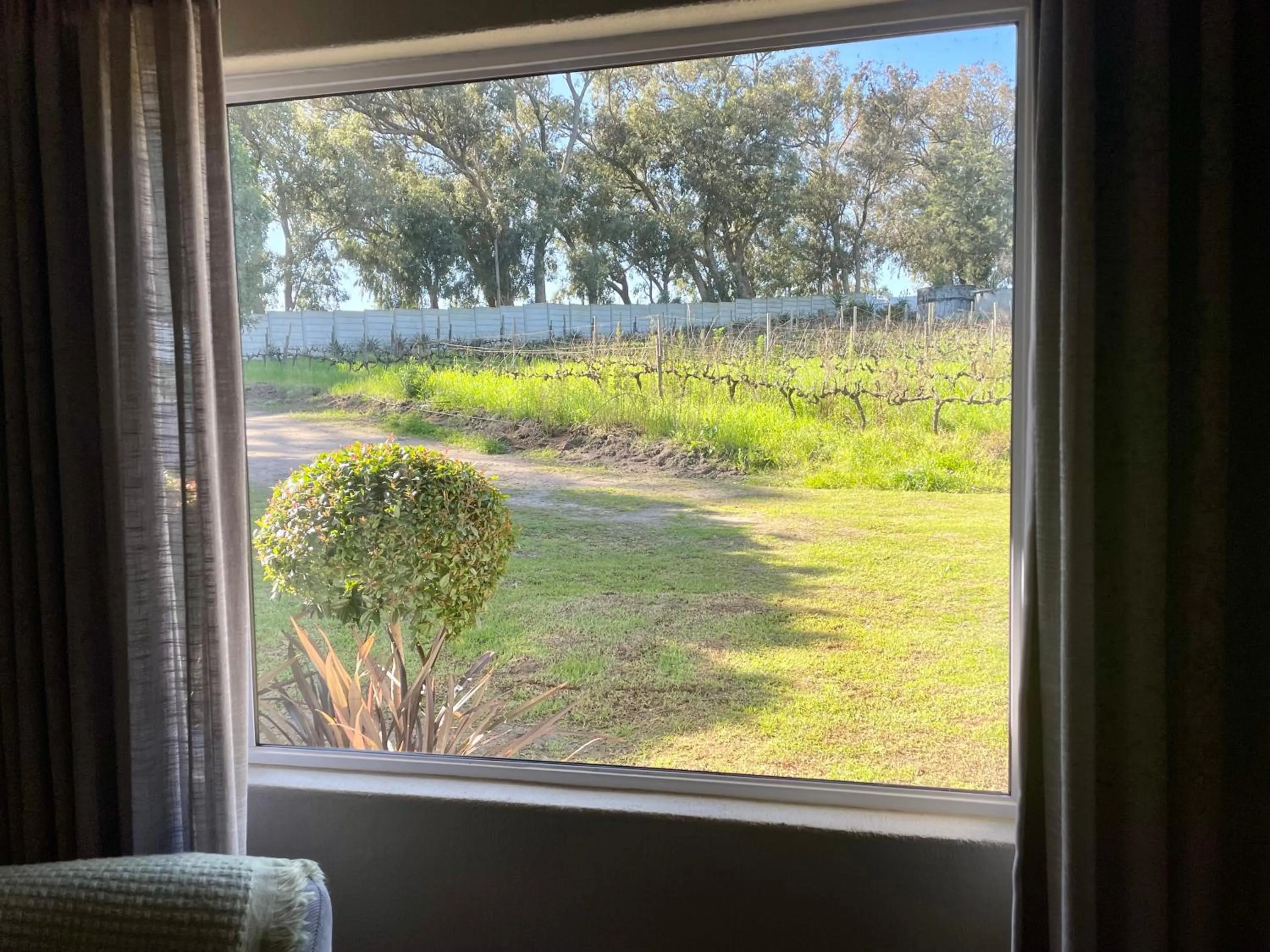 View (from property/room) in Groenvlei Guest Farm