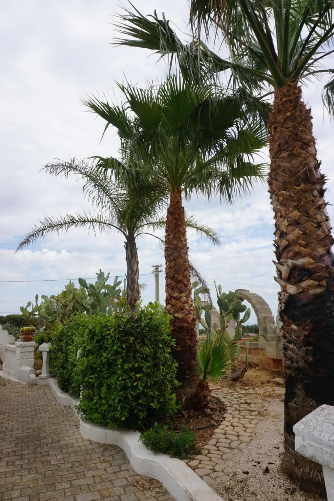 Garden view in Hotel Nicolaj
