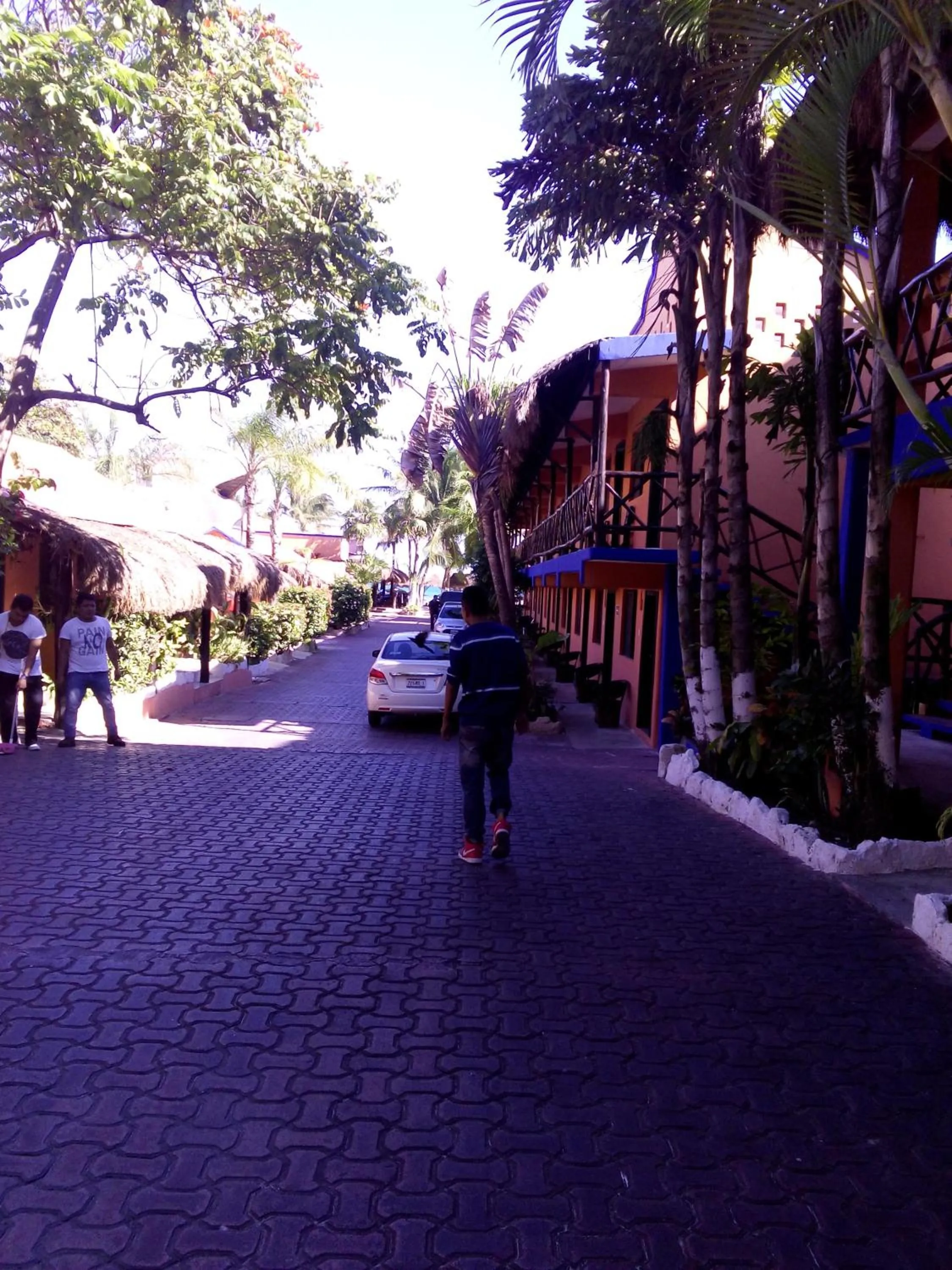 View (from property/room), Neighborhood in Costa del Mar