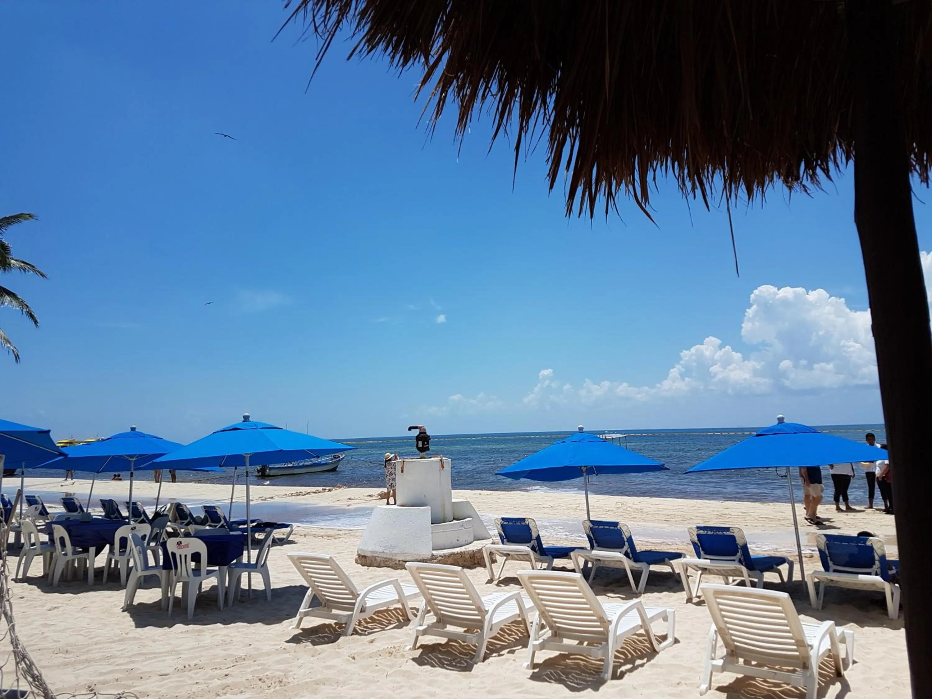 Beach in Costa del Mar