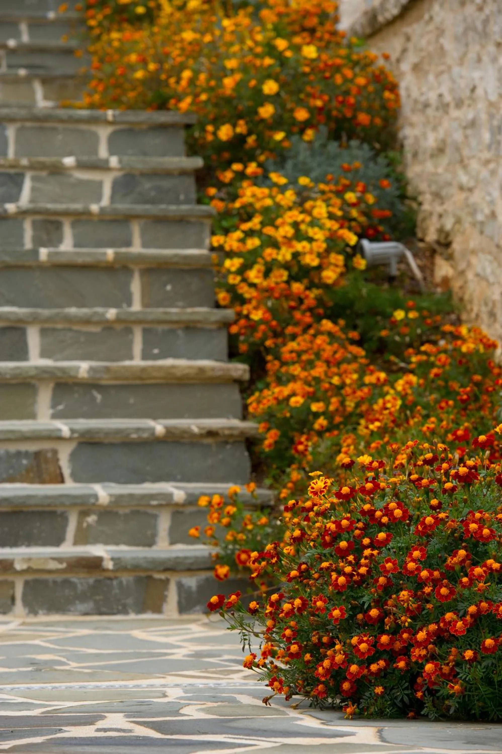 Facade/entrance in Mir Boutique Hotel