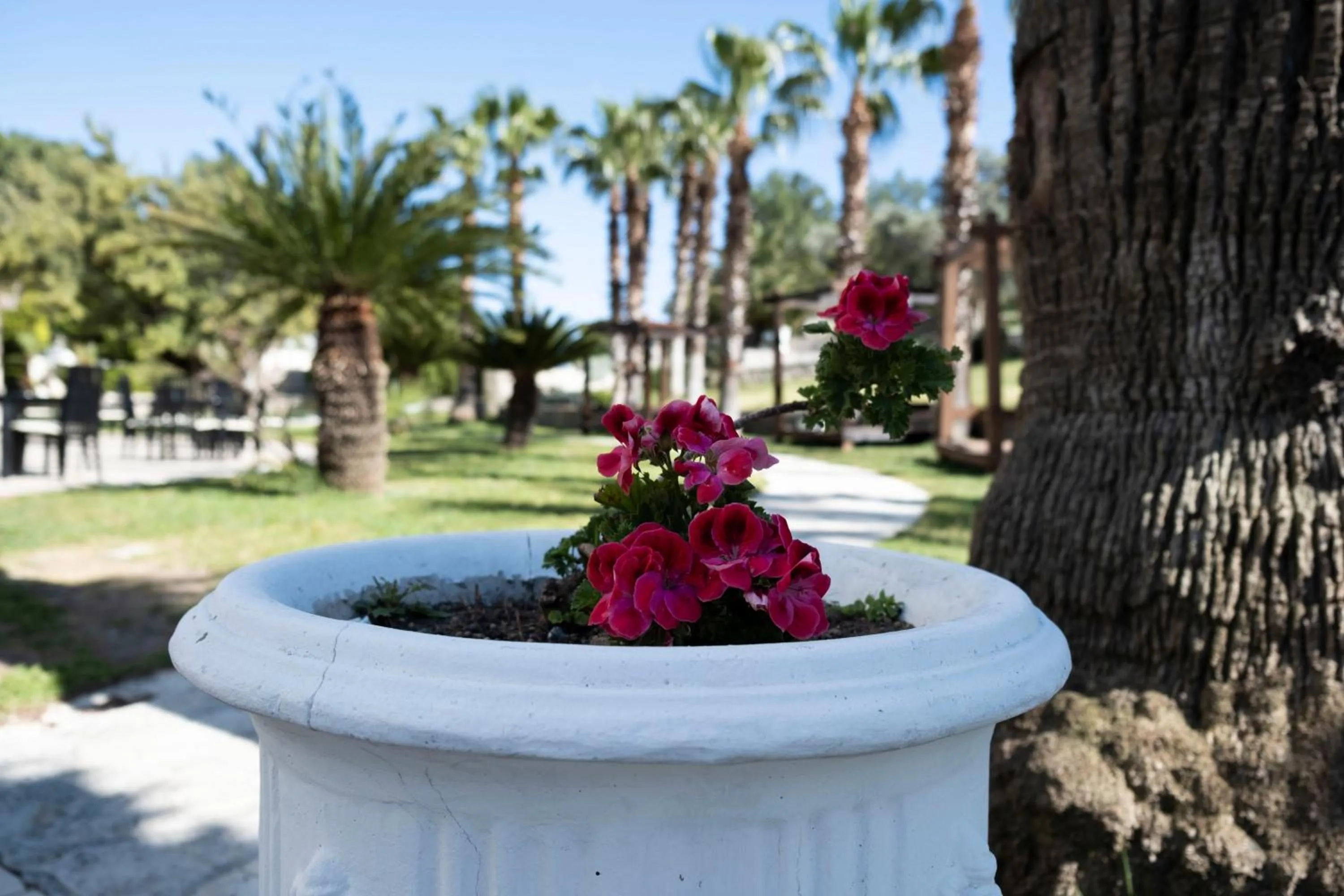 Garden in X Life Hotel Sarıgerme 15 - Adult Hotel