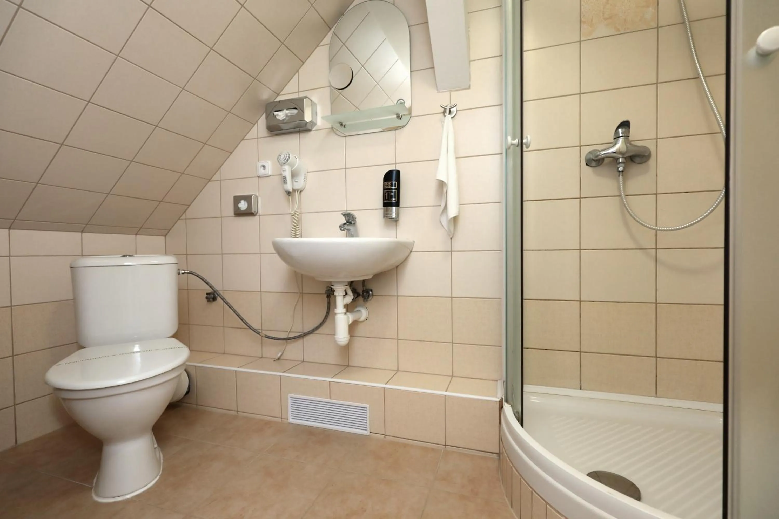 Shower in Pension U Tří sedláků