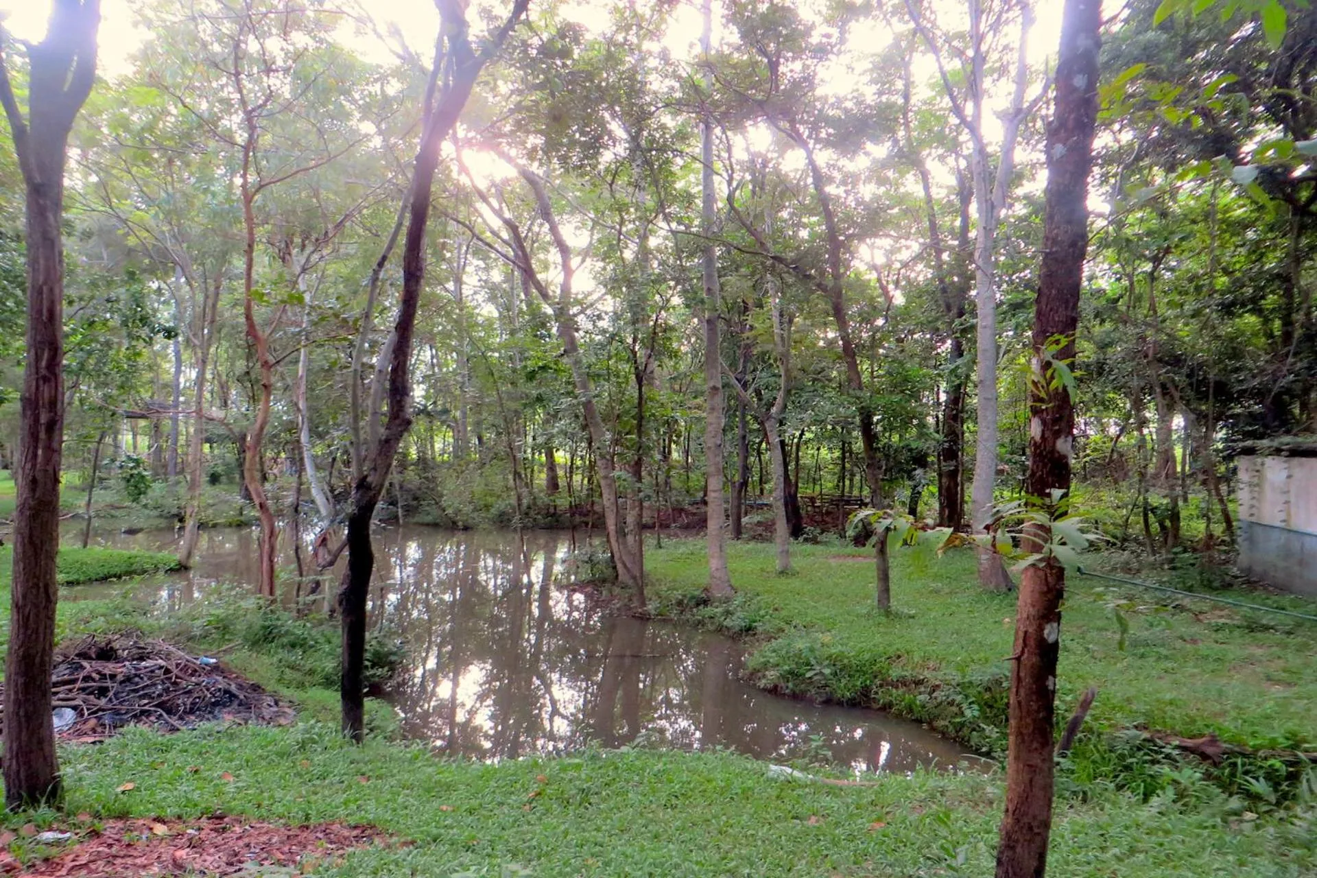 Garden view in Isaan Perazim Park