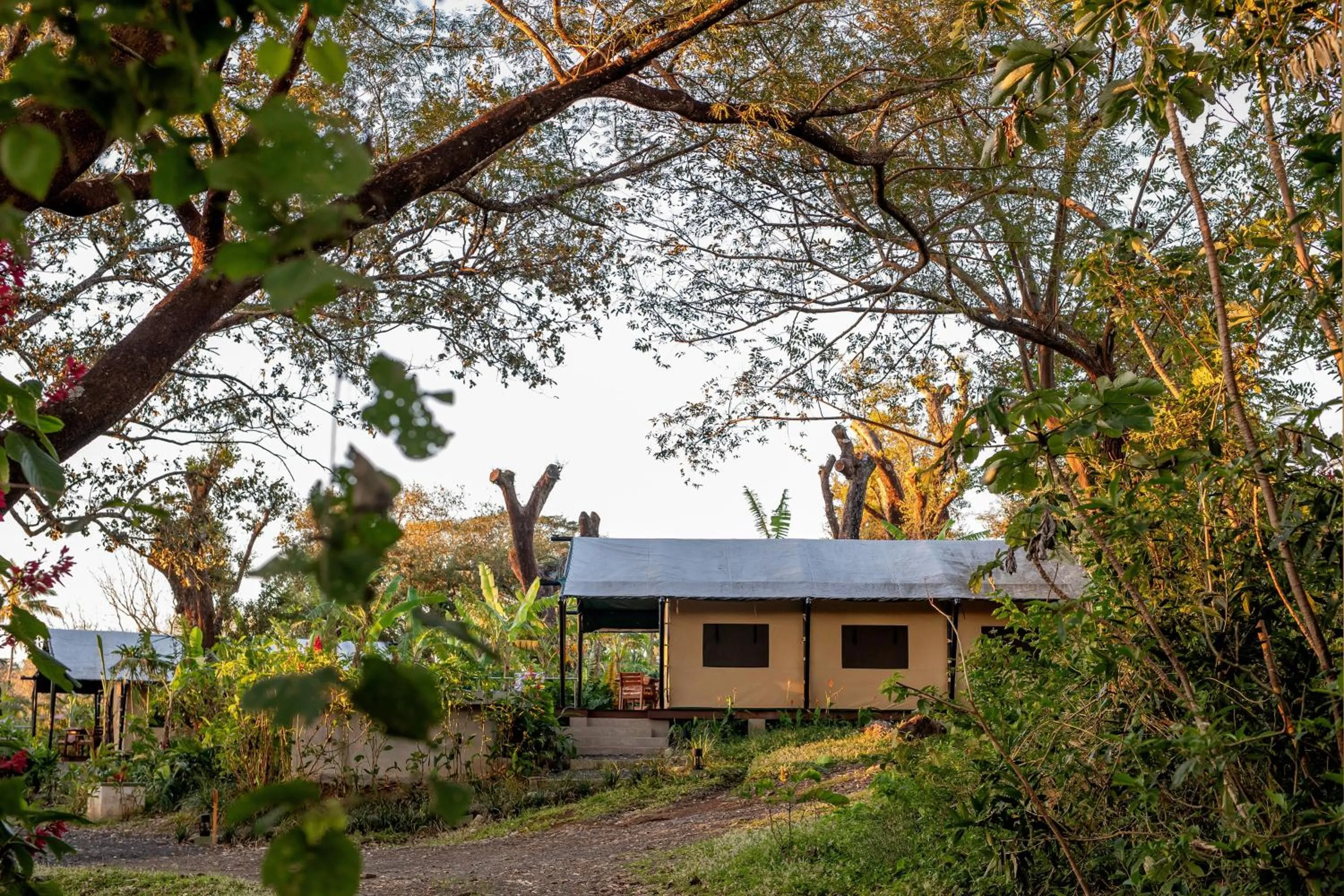 View (from property/room) in Hacienda Guachipelin Volcano Ranch Hotel & Hot Springs