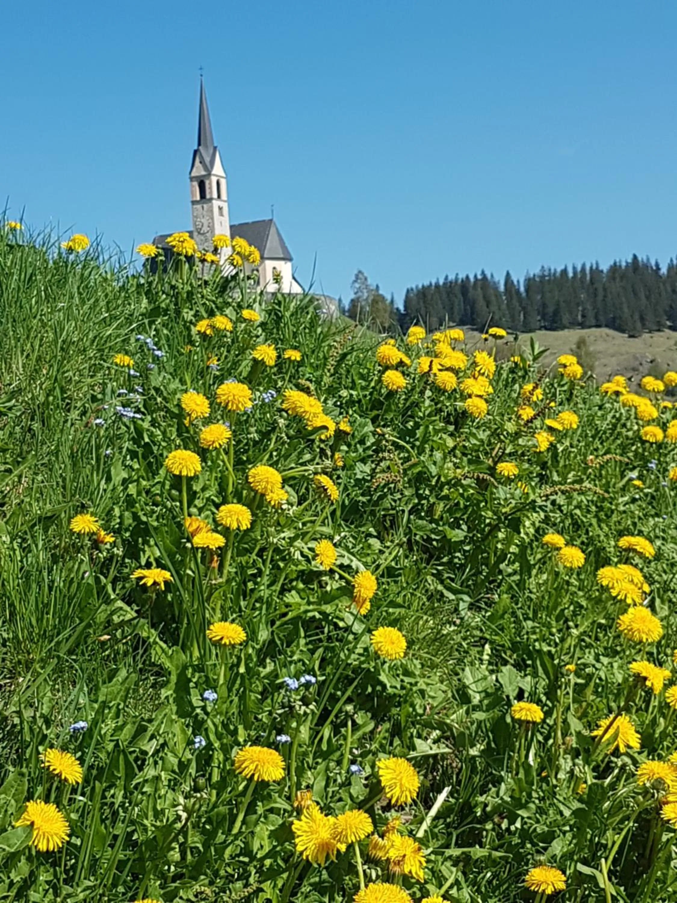 Nearby landmark in Hotel und Restaurant Alpina