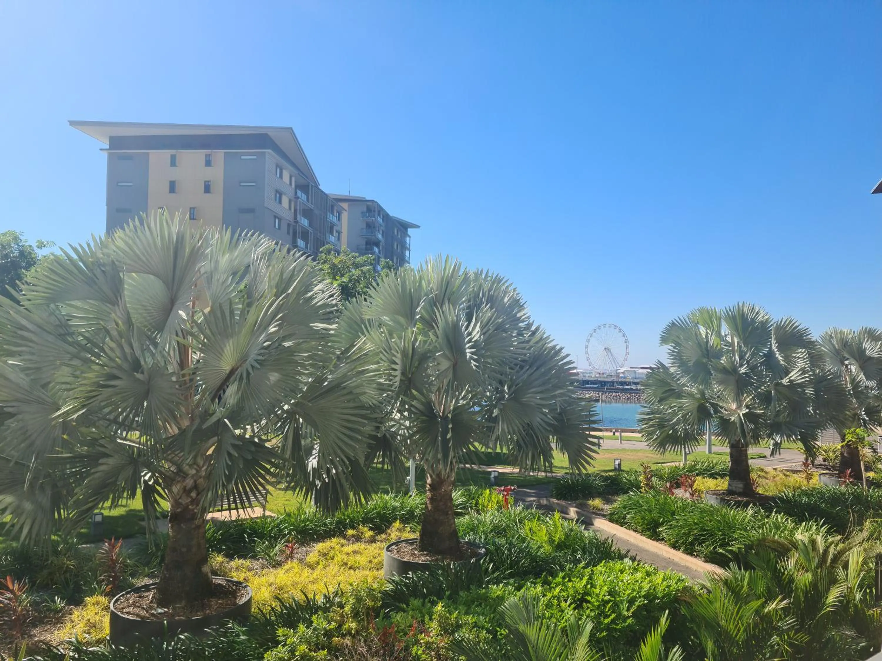 Garden view in Darwin Waterfront Short Stay Apartments