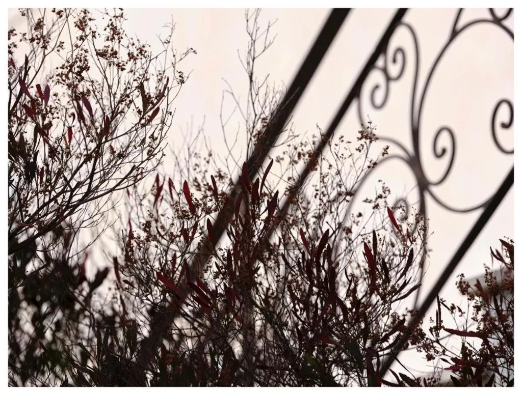 Hotel Villa San Bartolo