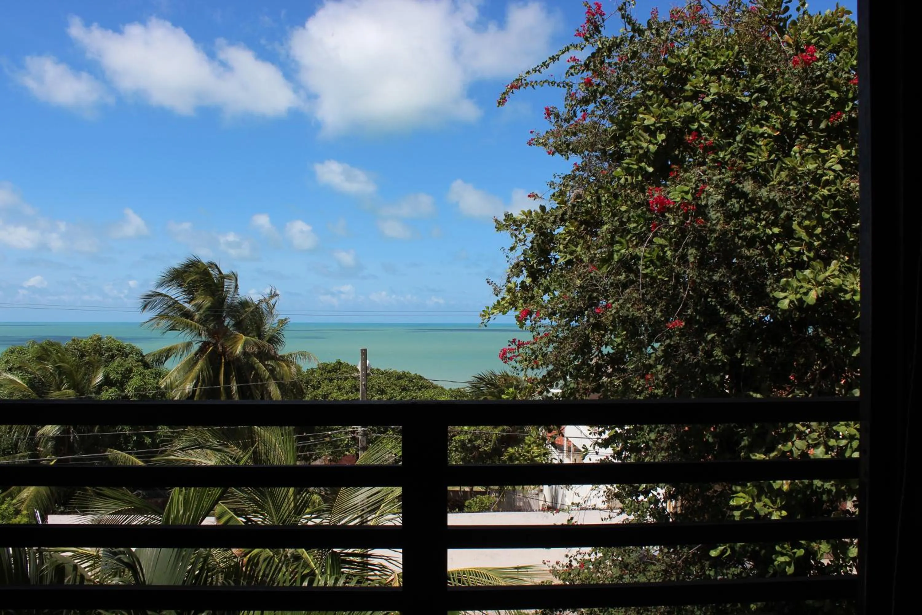 Day in Apart Hotel Casa Grande