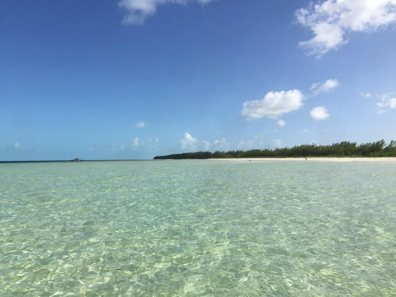 Beach in Bimini Big Game Club Resort & Marina