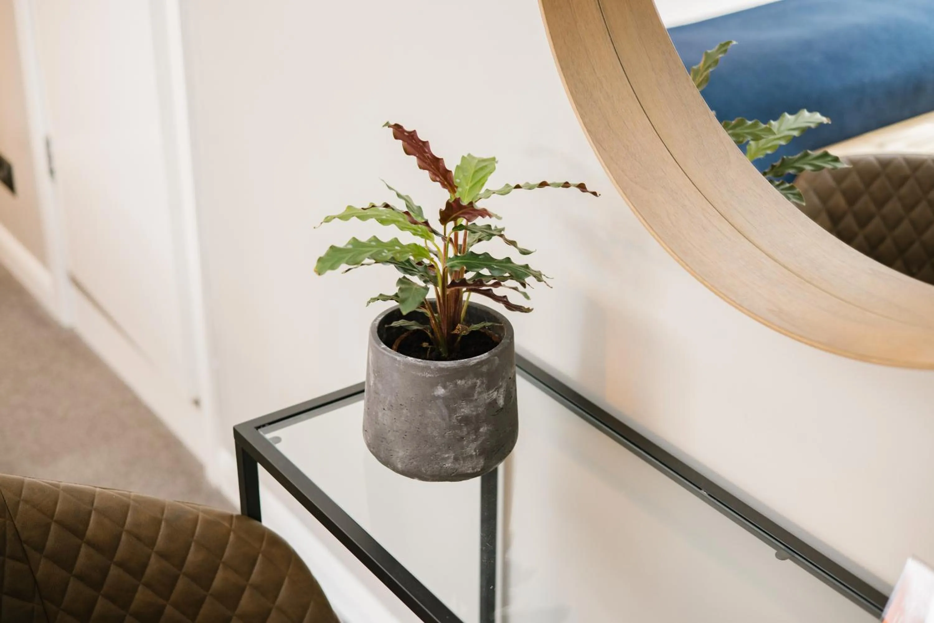 Decorative detail in The Borough