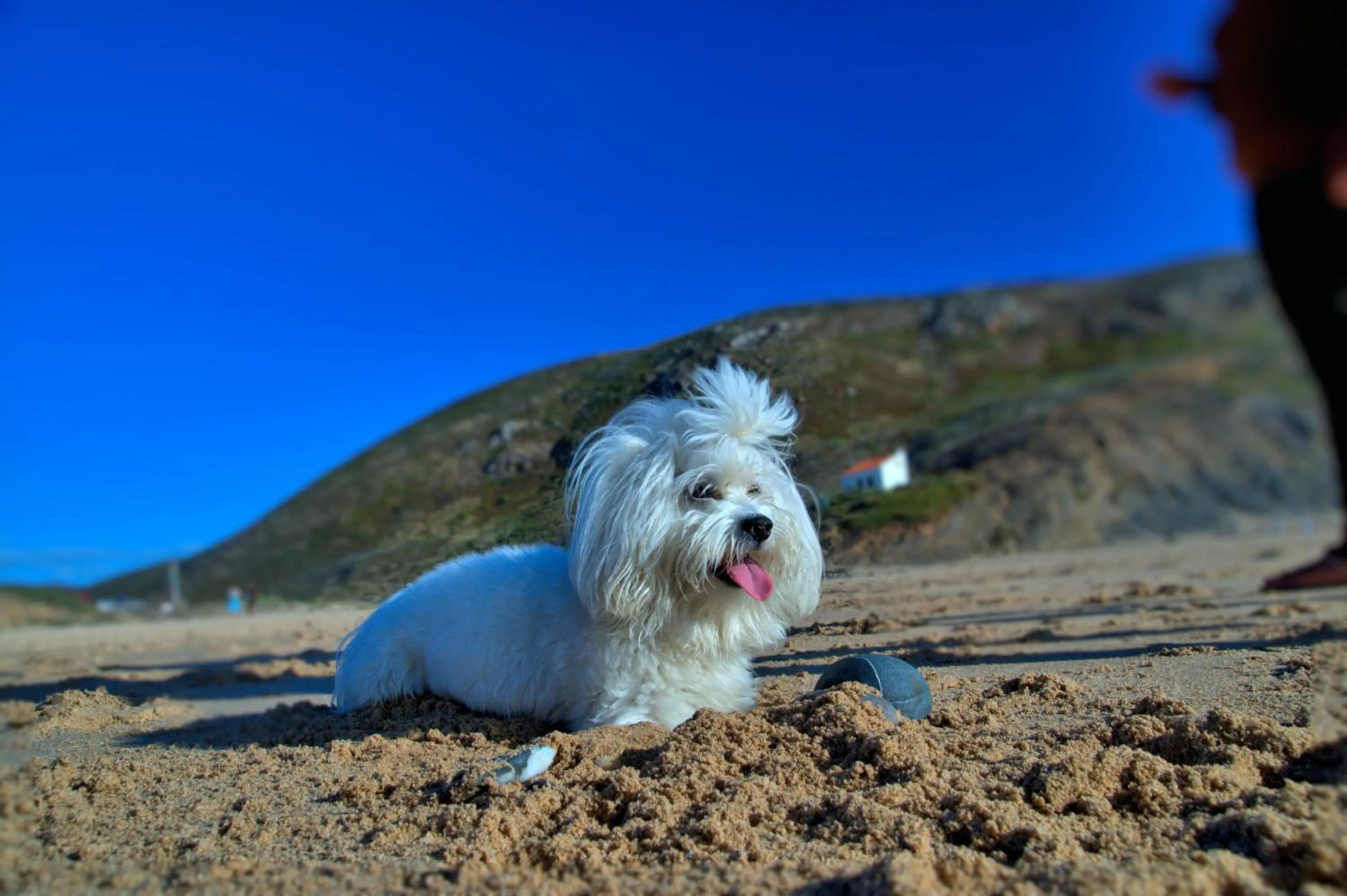 Nearby landmark in Tonel Apartamentos Turisticos