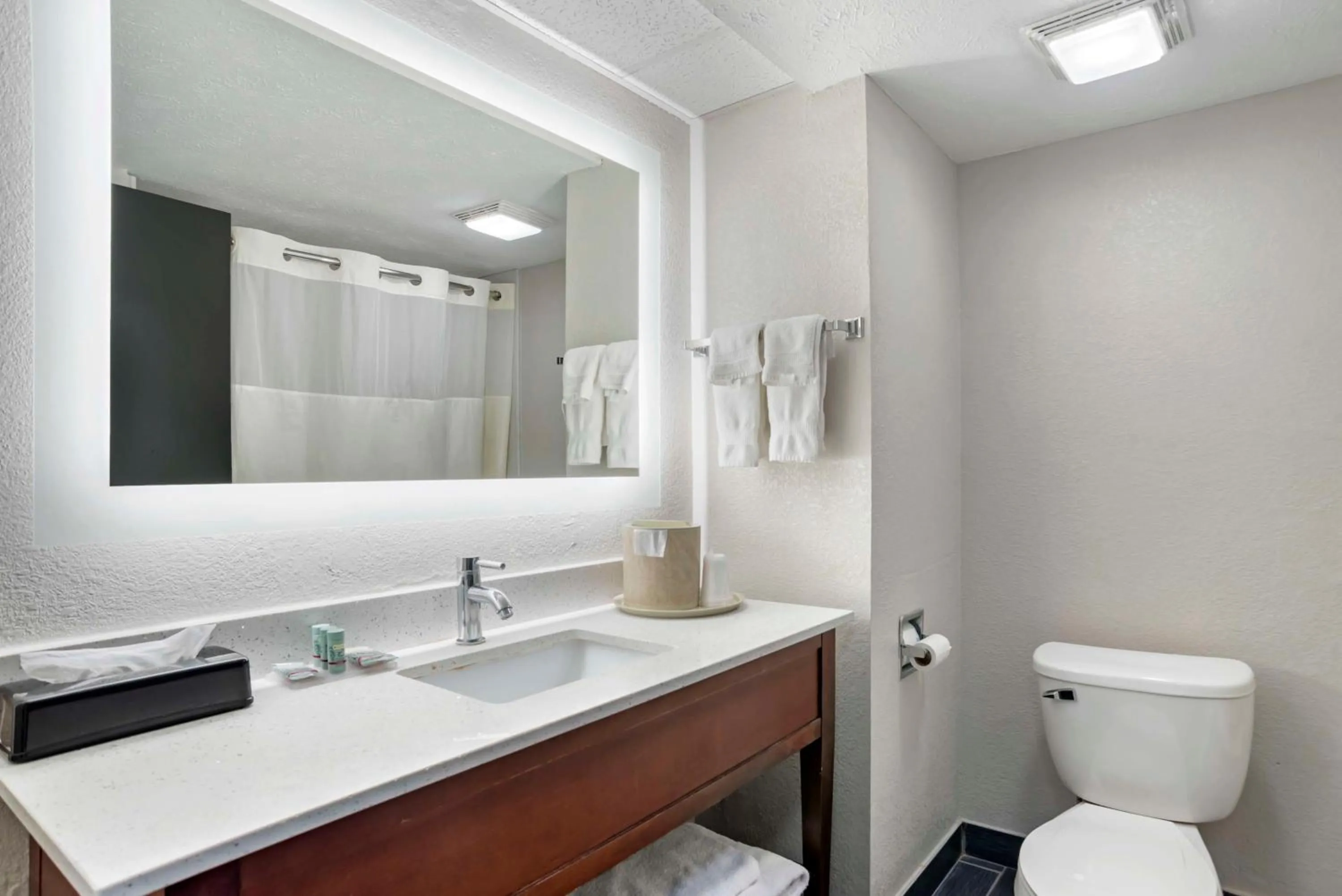 Bathroom in Best Western Canton Inn