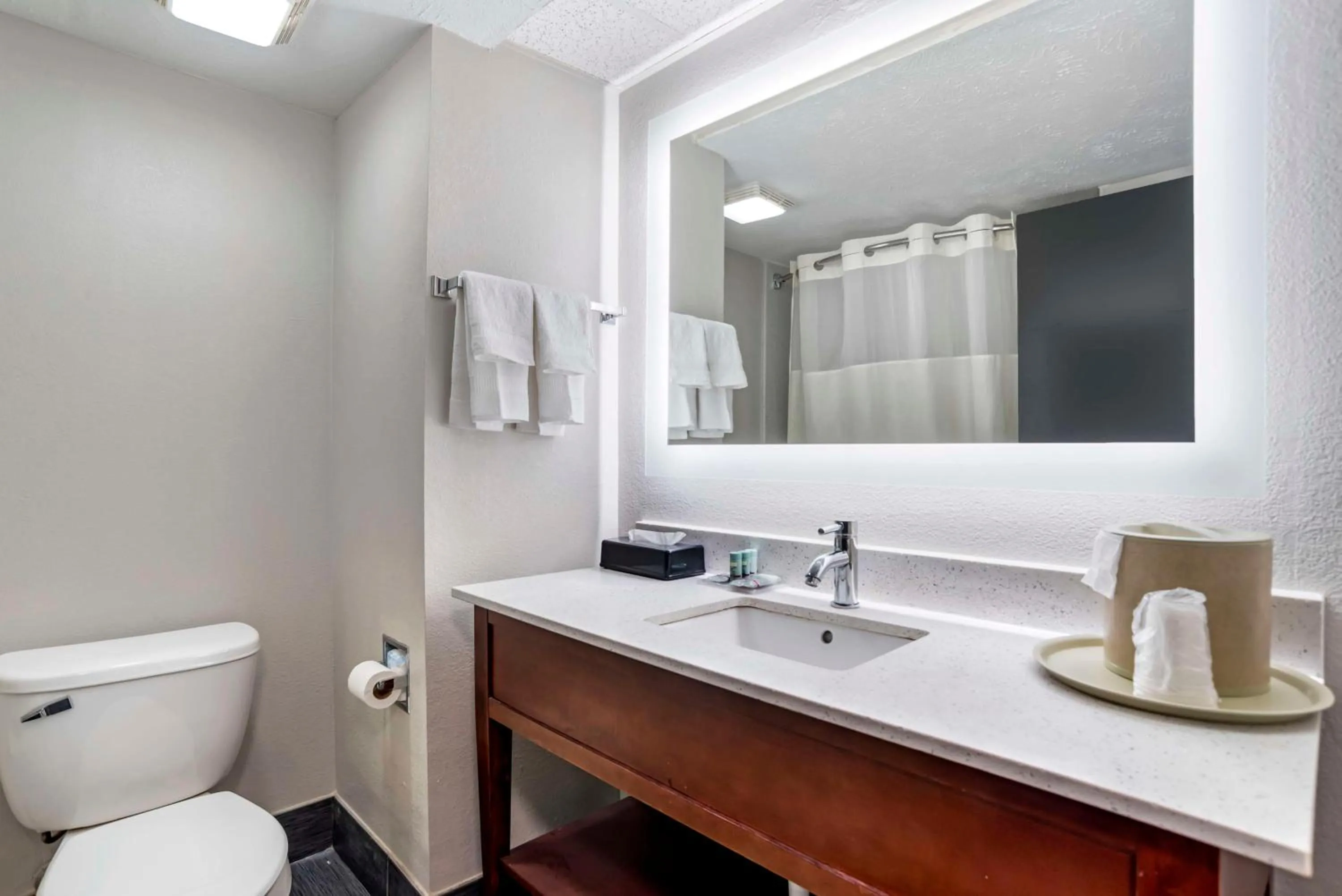 Bathroom in Best Western Canton Inn