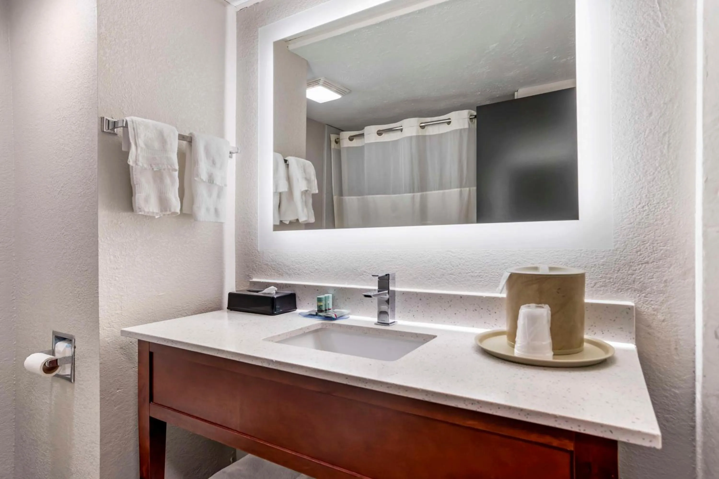 Bathroom in Best Western Canton Inn