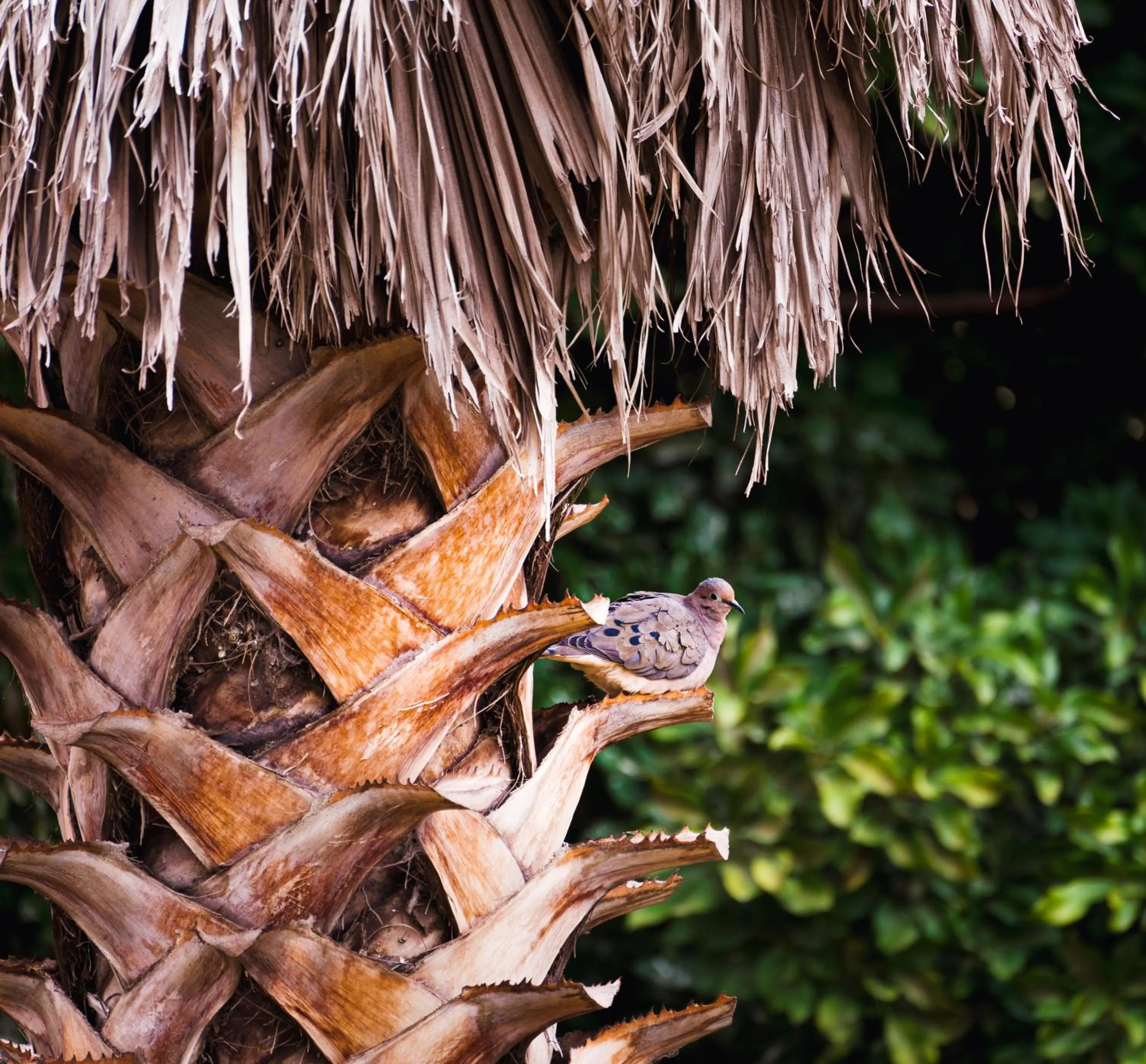 Property building in Hospedaje Chaska Pisac
