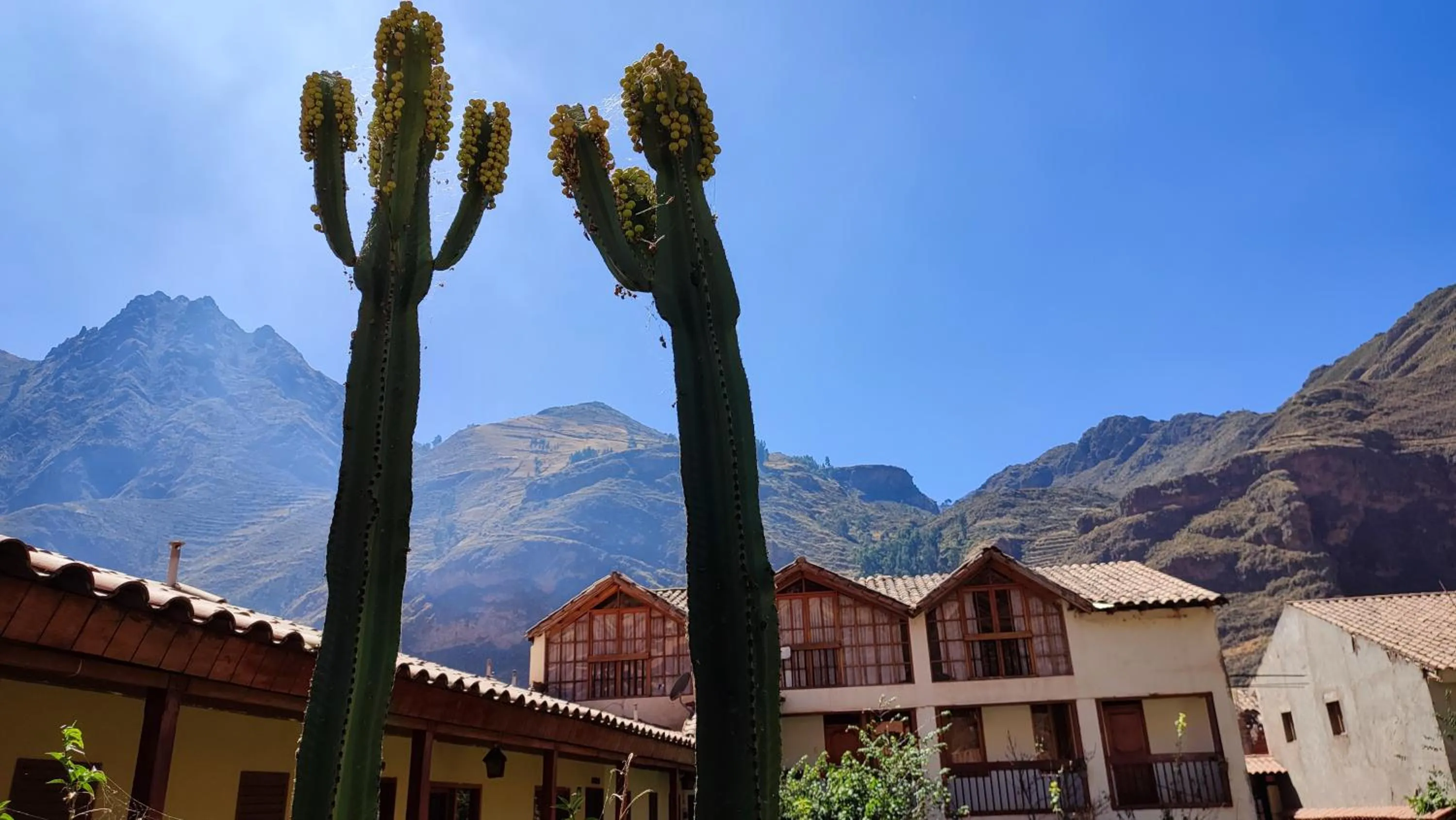 Natural landscape in Hospedaje Chaska Pisac
