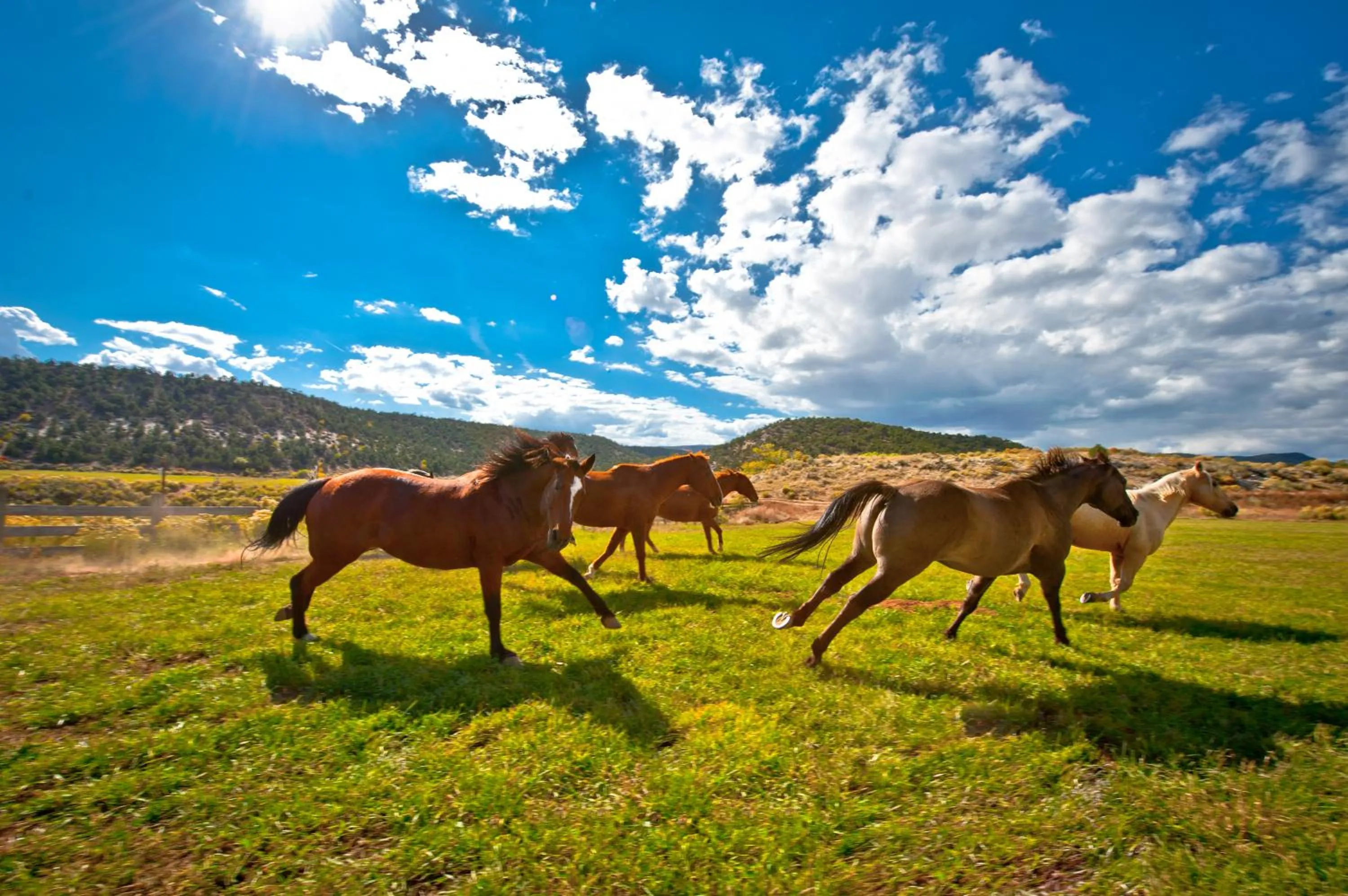 Horse-riding in Boulder Mountain Guest Ranch