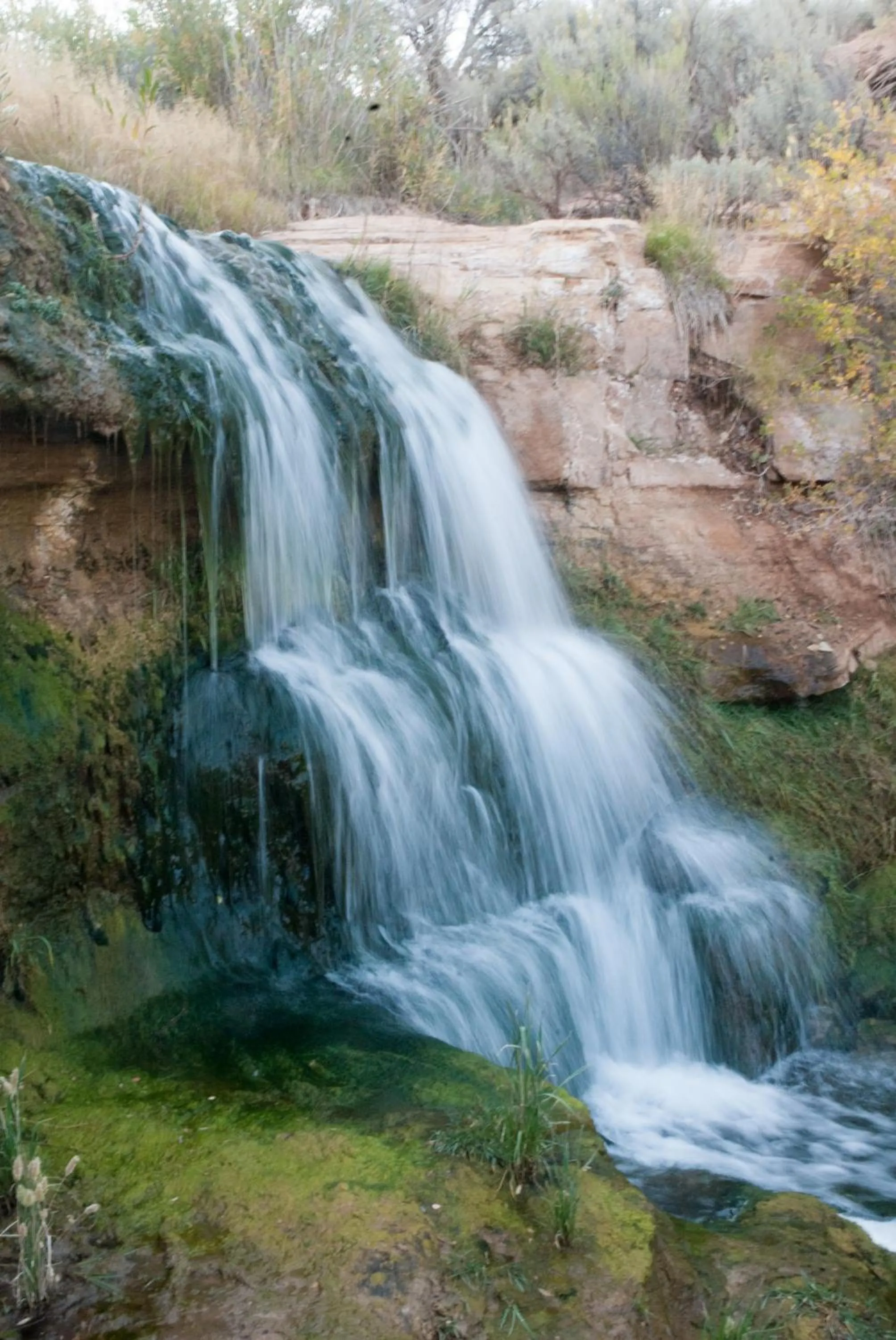 Natural landscape in Boulder Mountain Guest Ranch