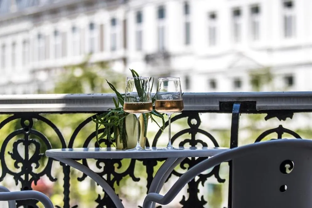 Balcony/Terrace in Alex Maastricht