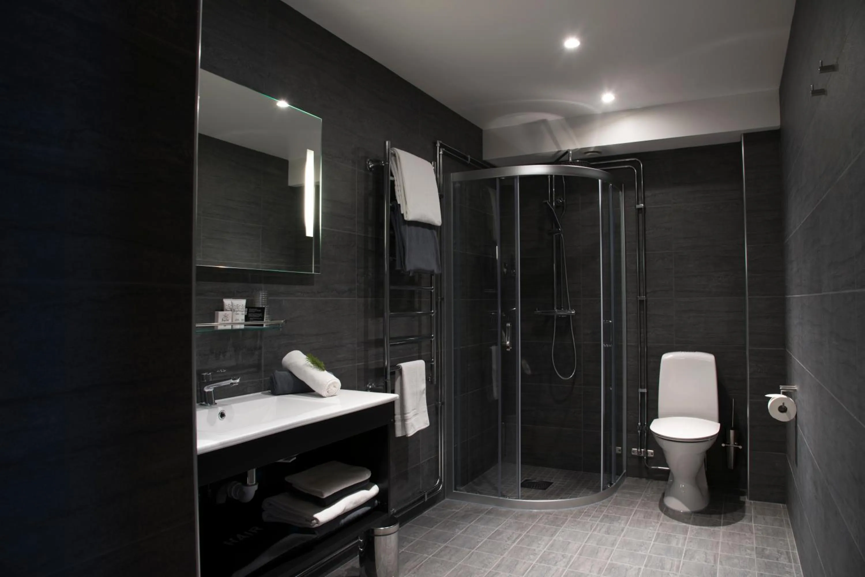 Toilet in Hotel Bügelhof