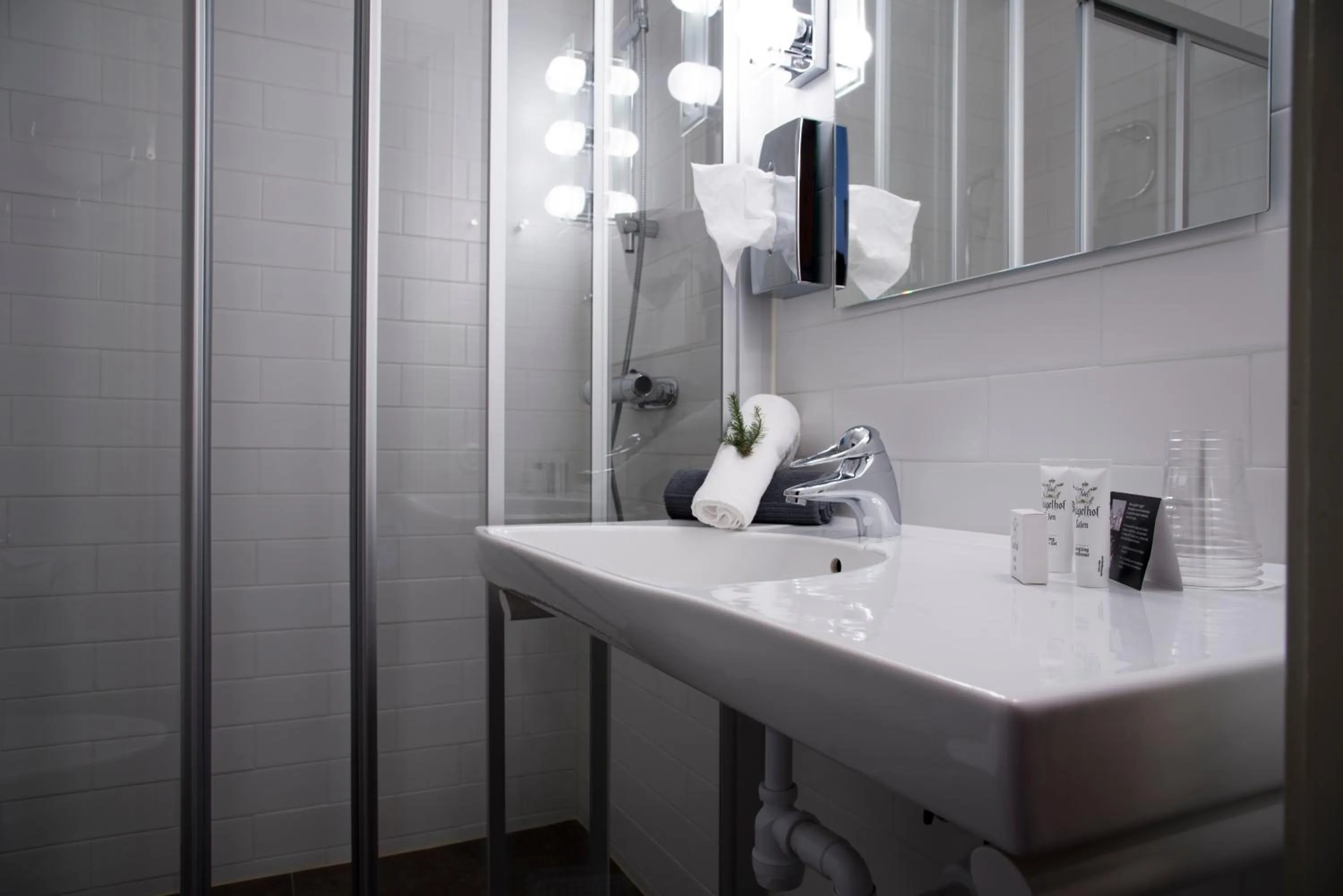 Bathroom in Hotel Bügelhof