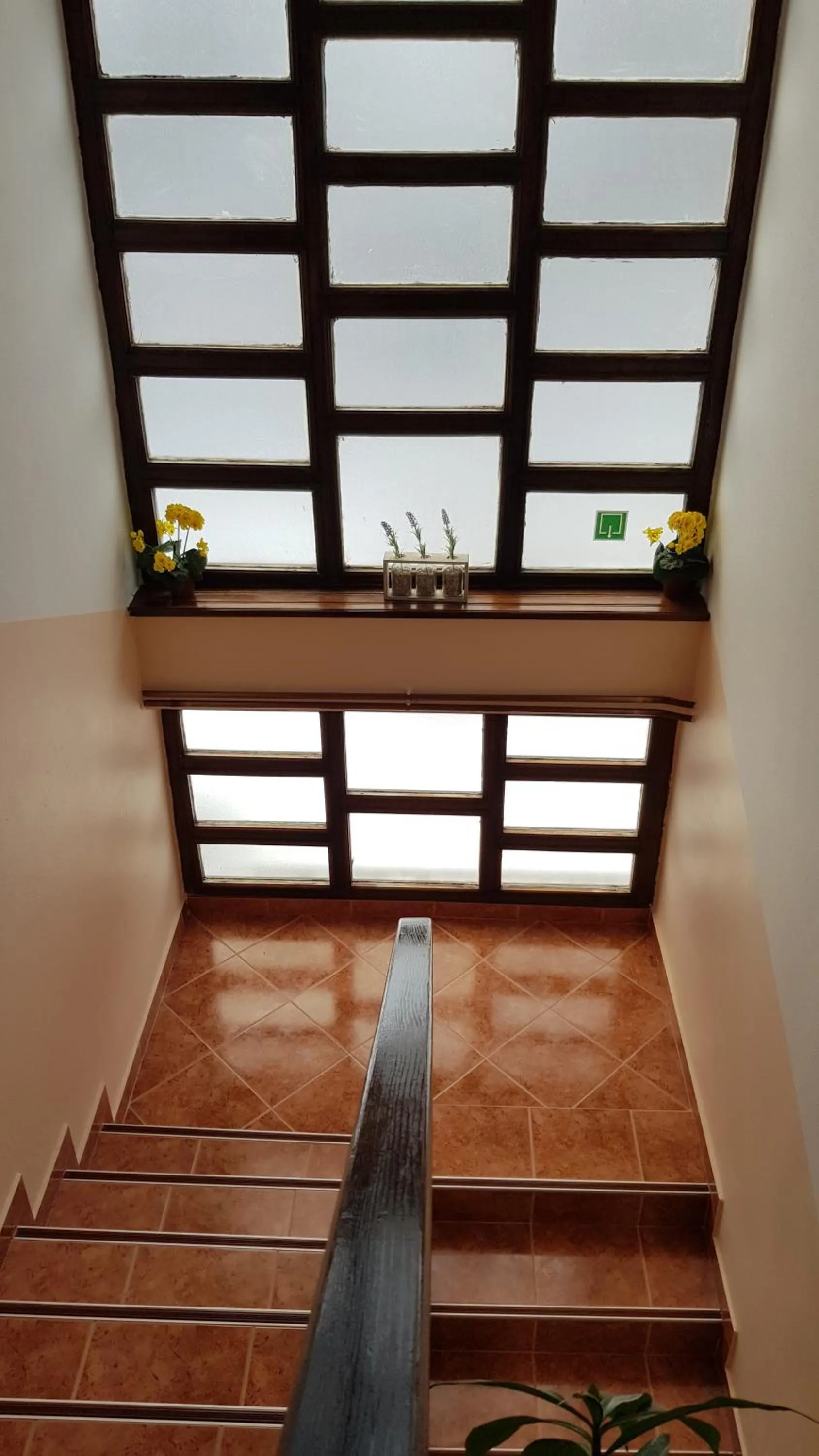 House Anamarija