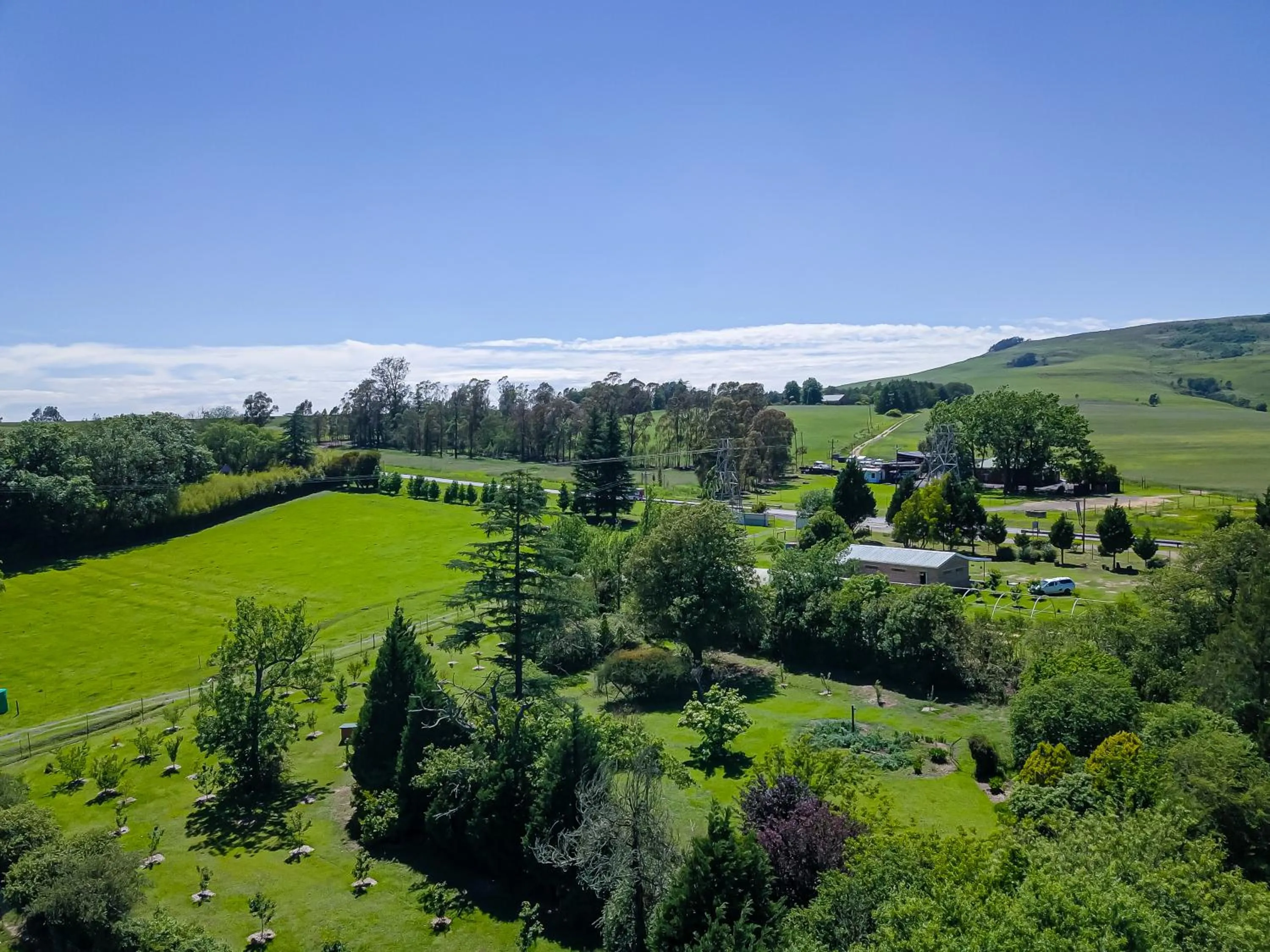Garden view in Dunroamin Bed and Breakfast
